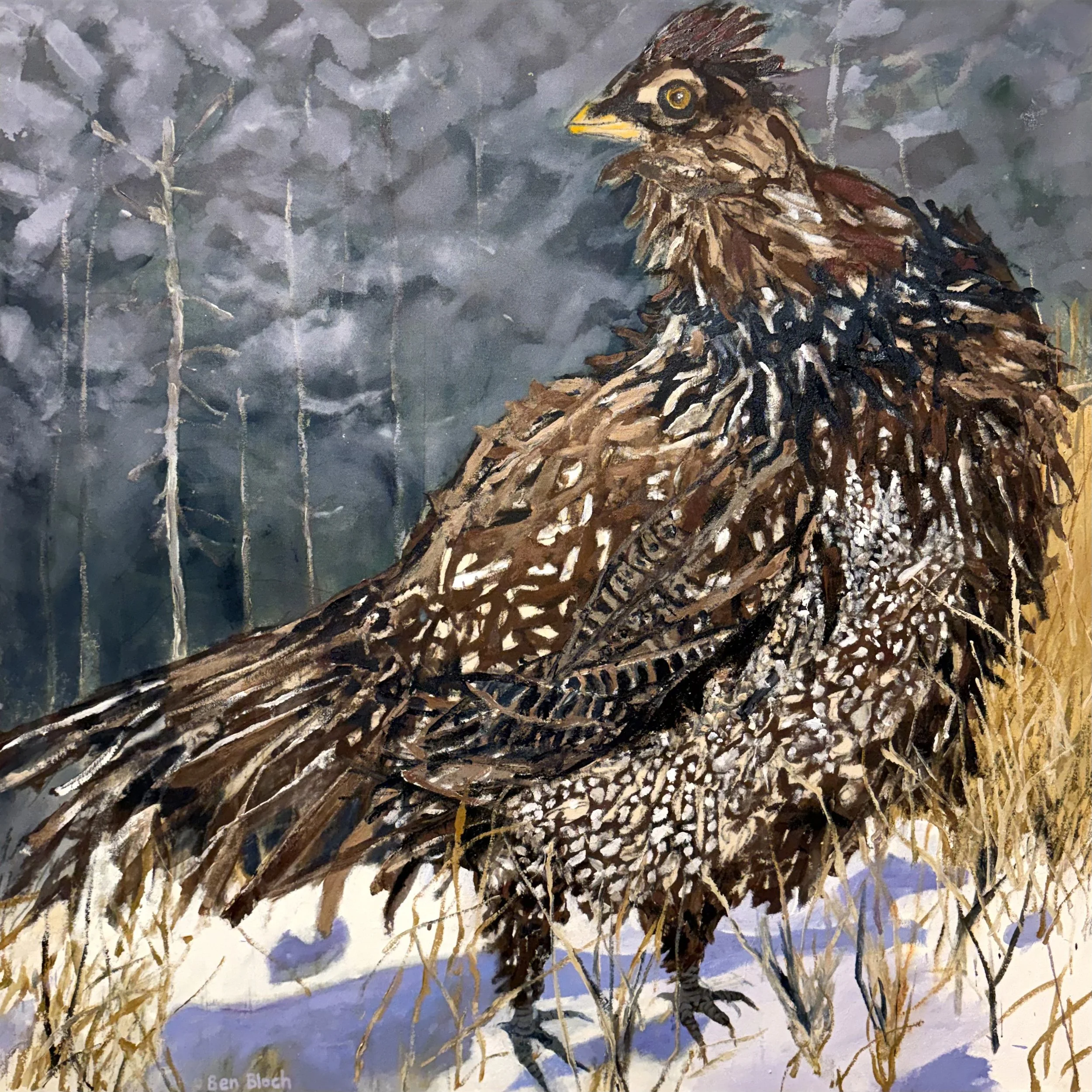 Ben Bloch, Ruffed grouse, close up, in winter, Acrylic on canvas, 42" x 42" (2025)