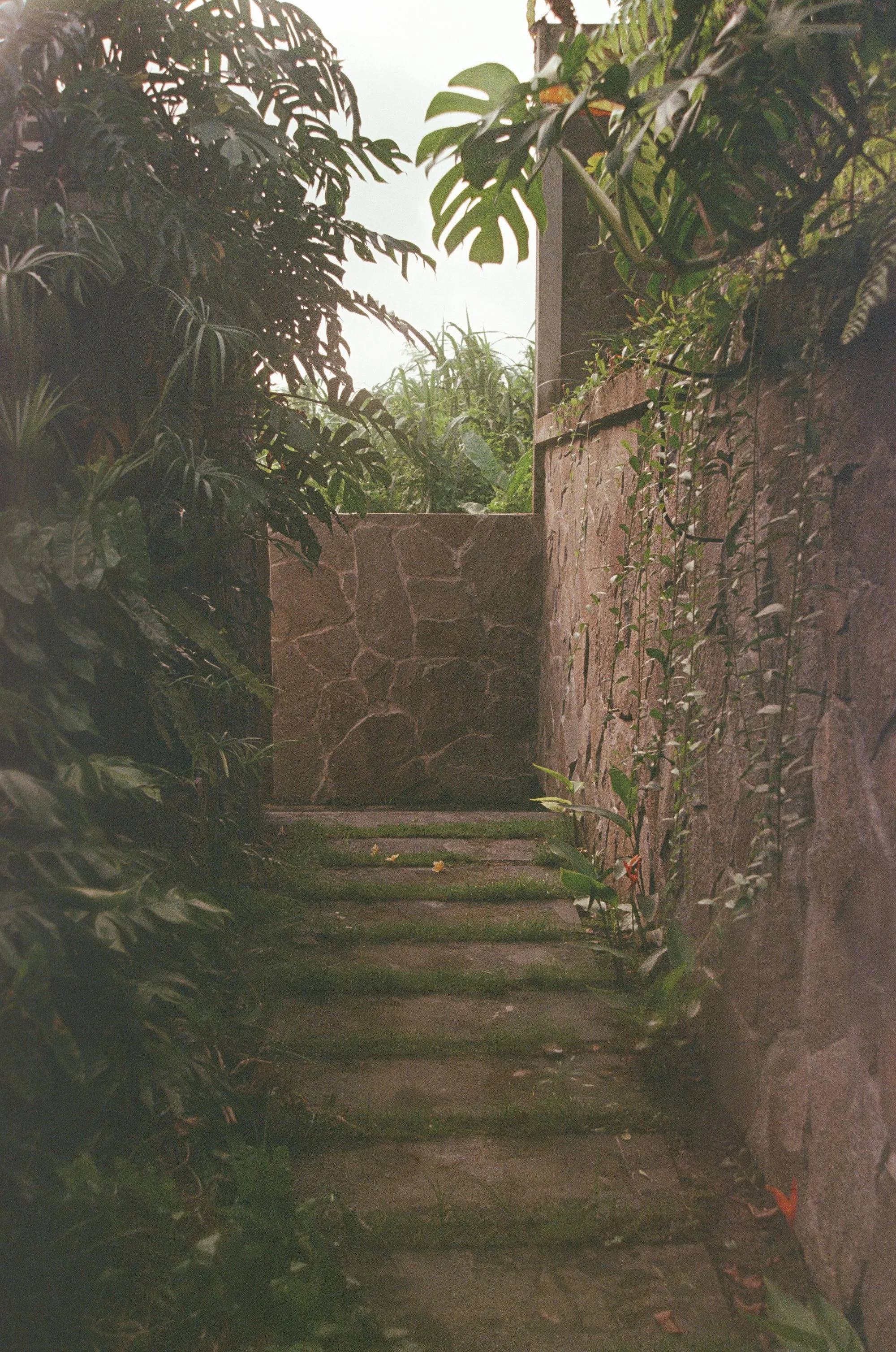 323.jpg