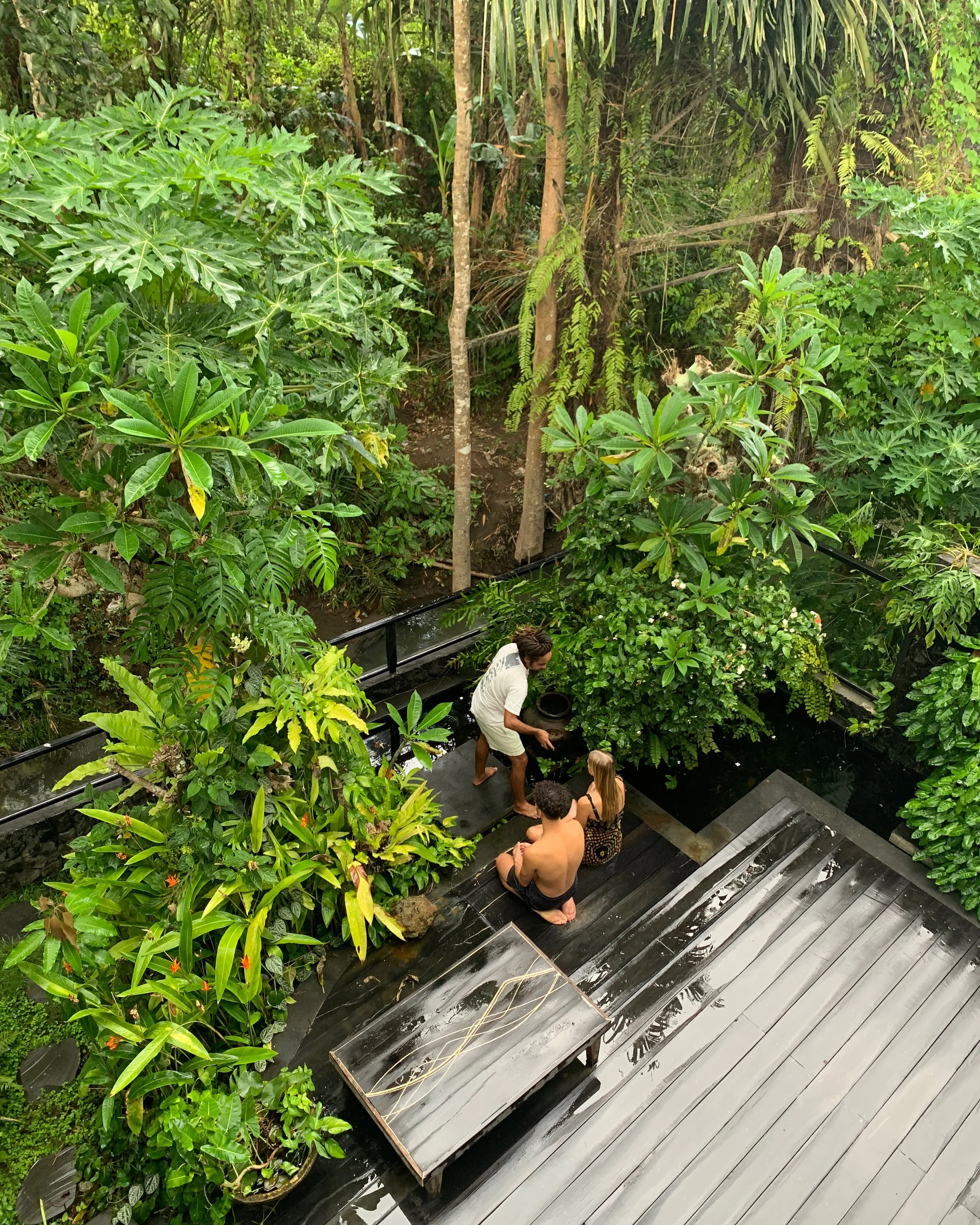 People sitting on a wooden patio surrounded by lush green tropical plants and trees, with a person healing a couple.