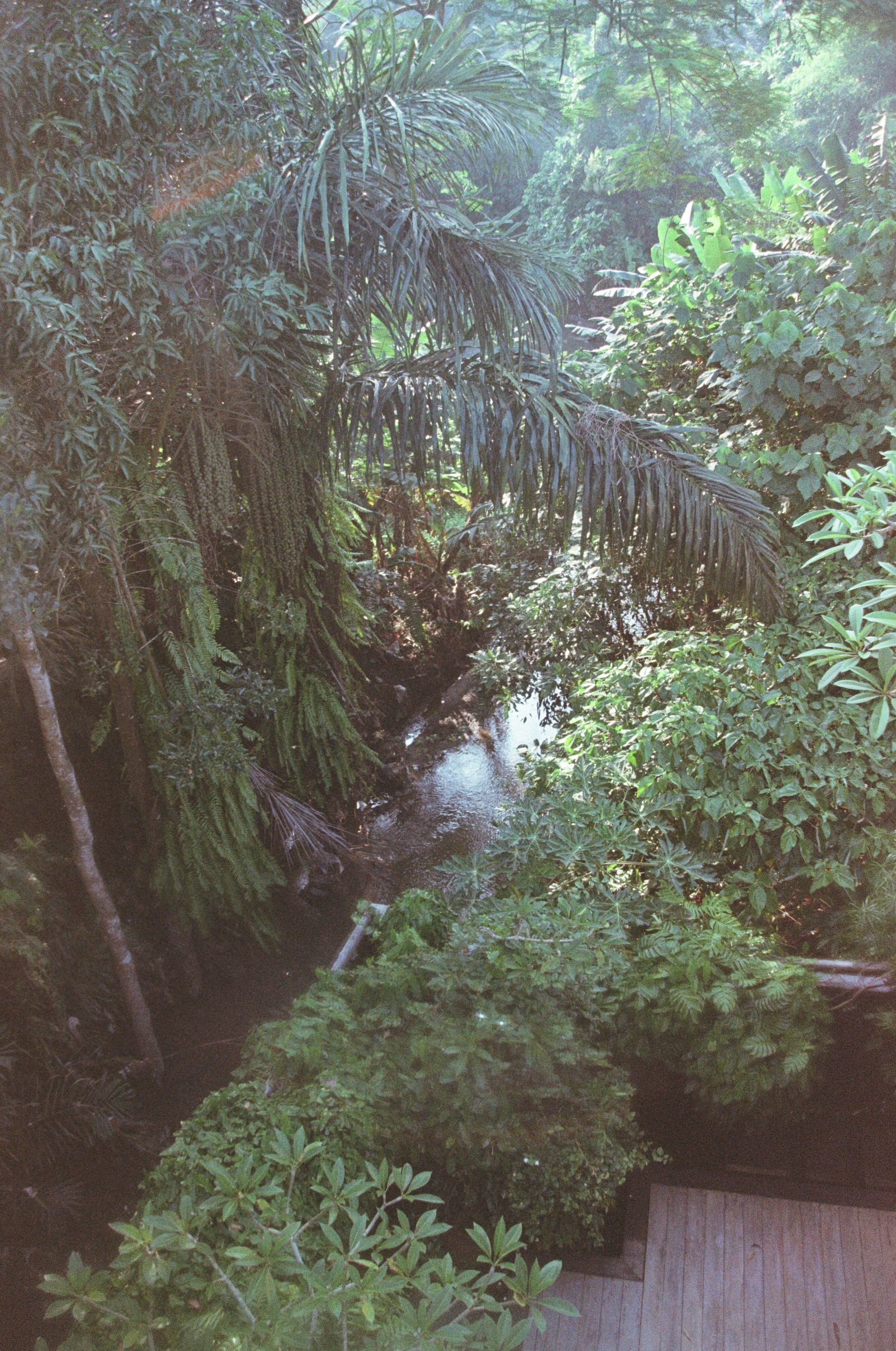 627.jpg