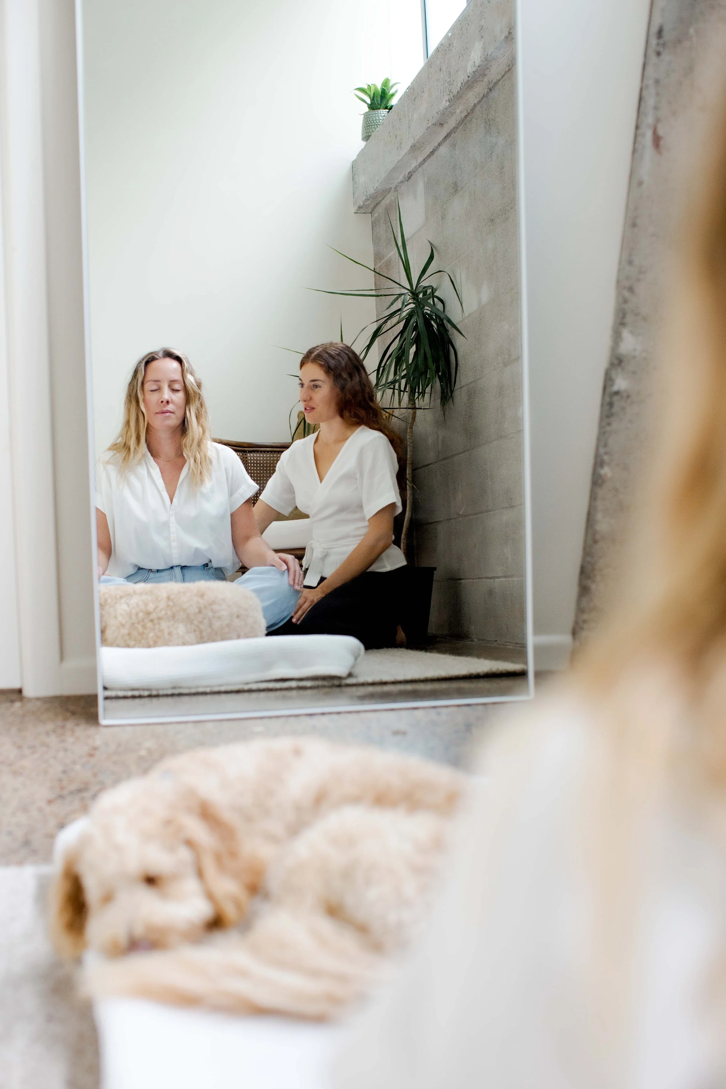 Touch Sessions | NZ - December