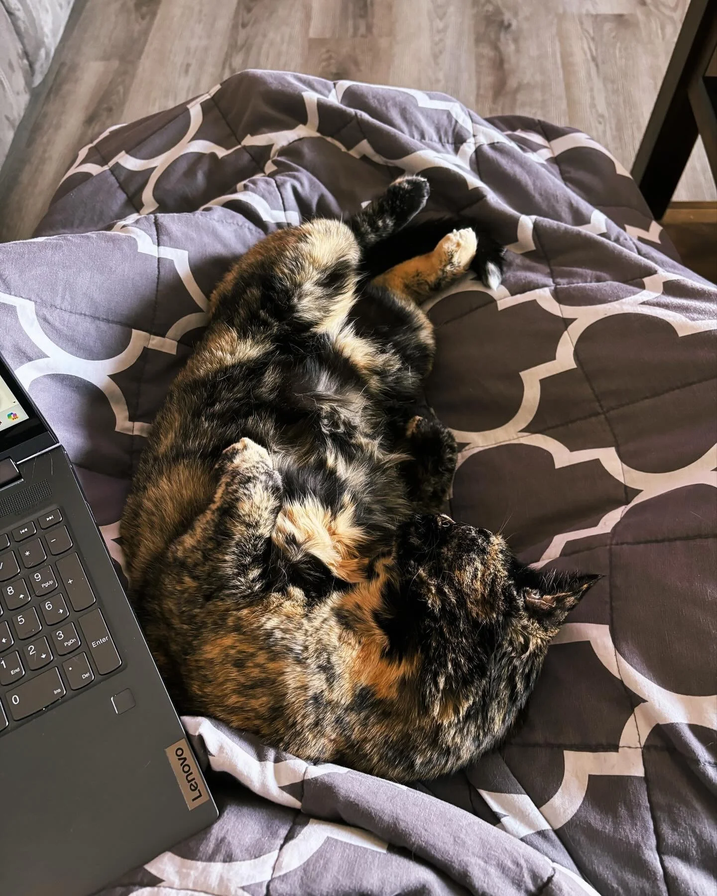 Thanks to some feedback, I have a better sense of direction with my #WIP Astray. With that, you could say I&rsquo;m already on my 2nd draft.🤪 

Since the new content will impact how the rest of the novel plays out, I&rsquo;m back at the beginning to