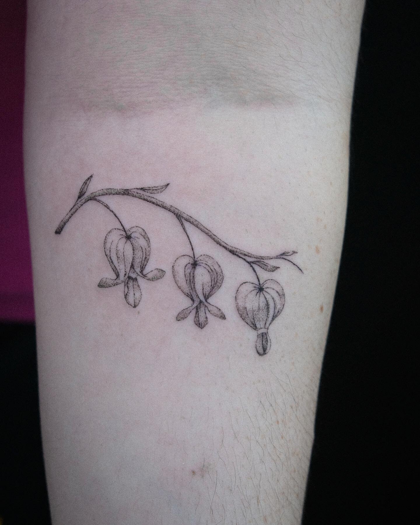 Bleeding Heart Flower Tattoo Bleeding Heart Flower Tattoo