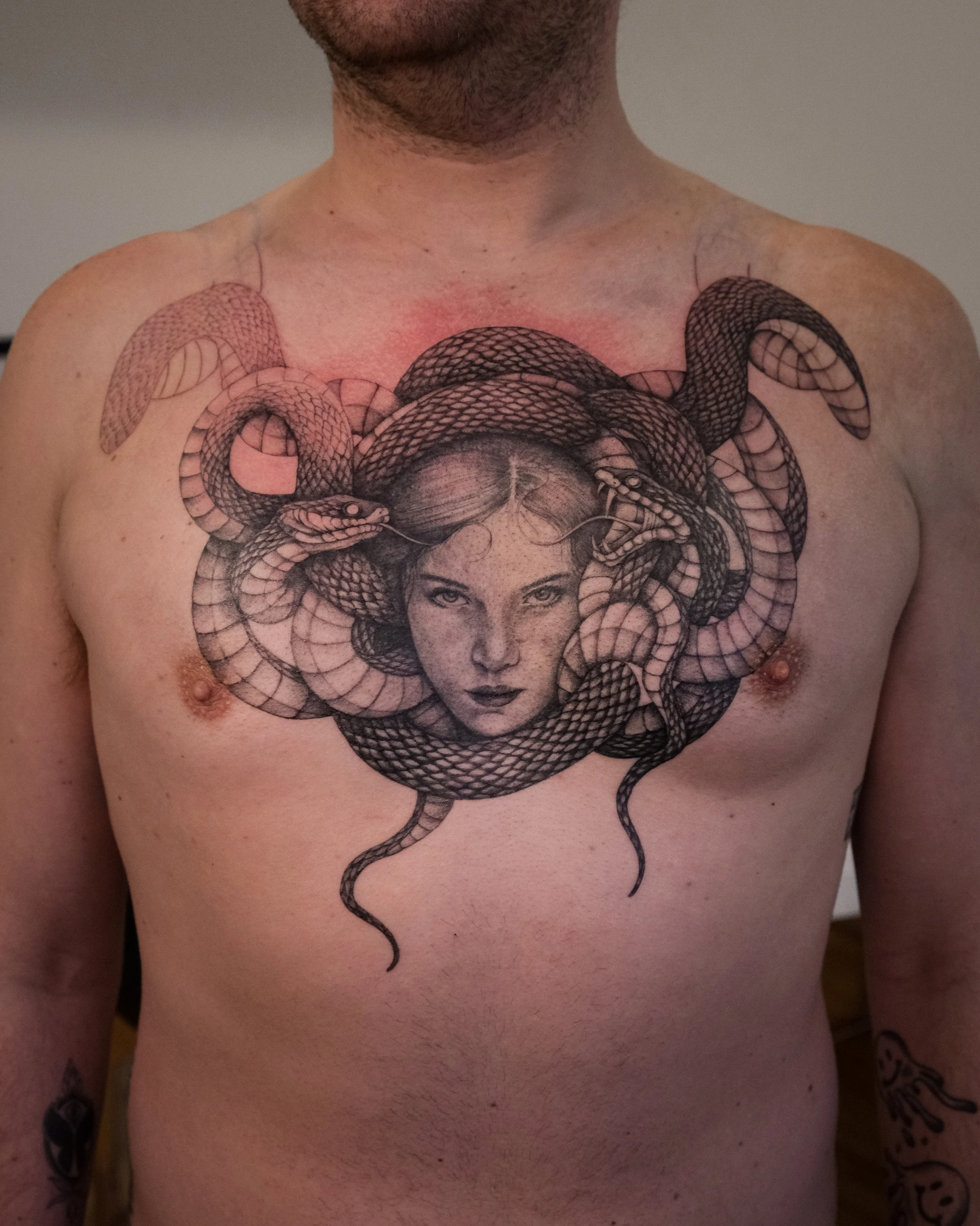 Medusa WIP (face healed - 2026)