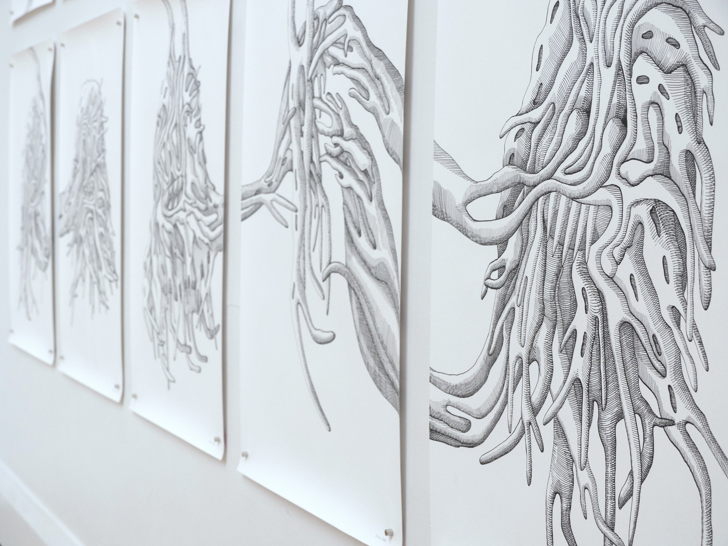 spiculated portraits, series of 12 drawings, ink on Fabriano paper, 1680 x 4000mm, 2024, detail