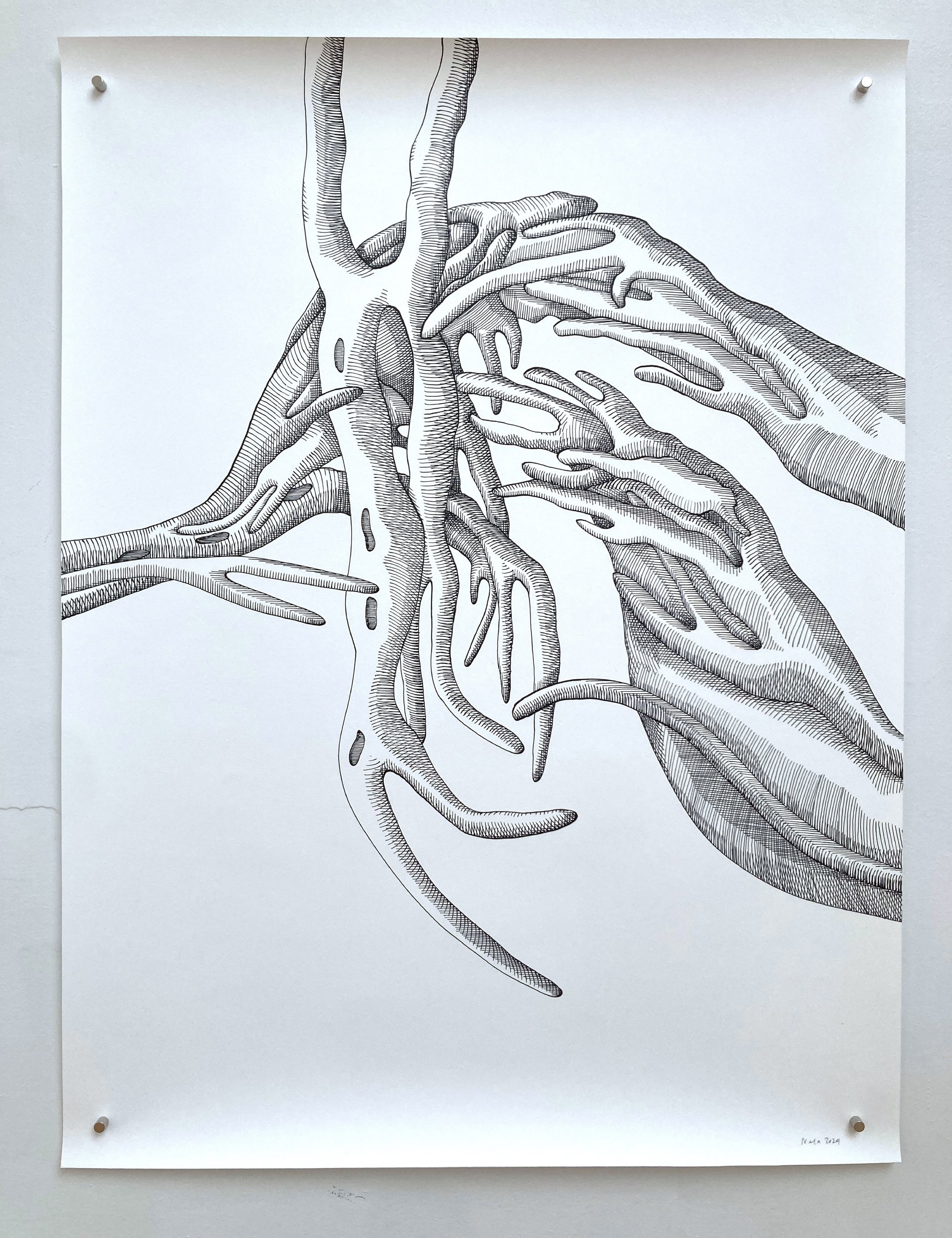 spiculated portraits, series of 12 drawings, ink on Fabriano paper, 1680 x 4000mm, 2024, detail