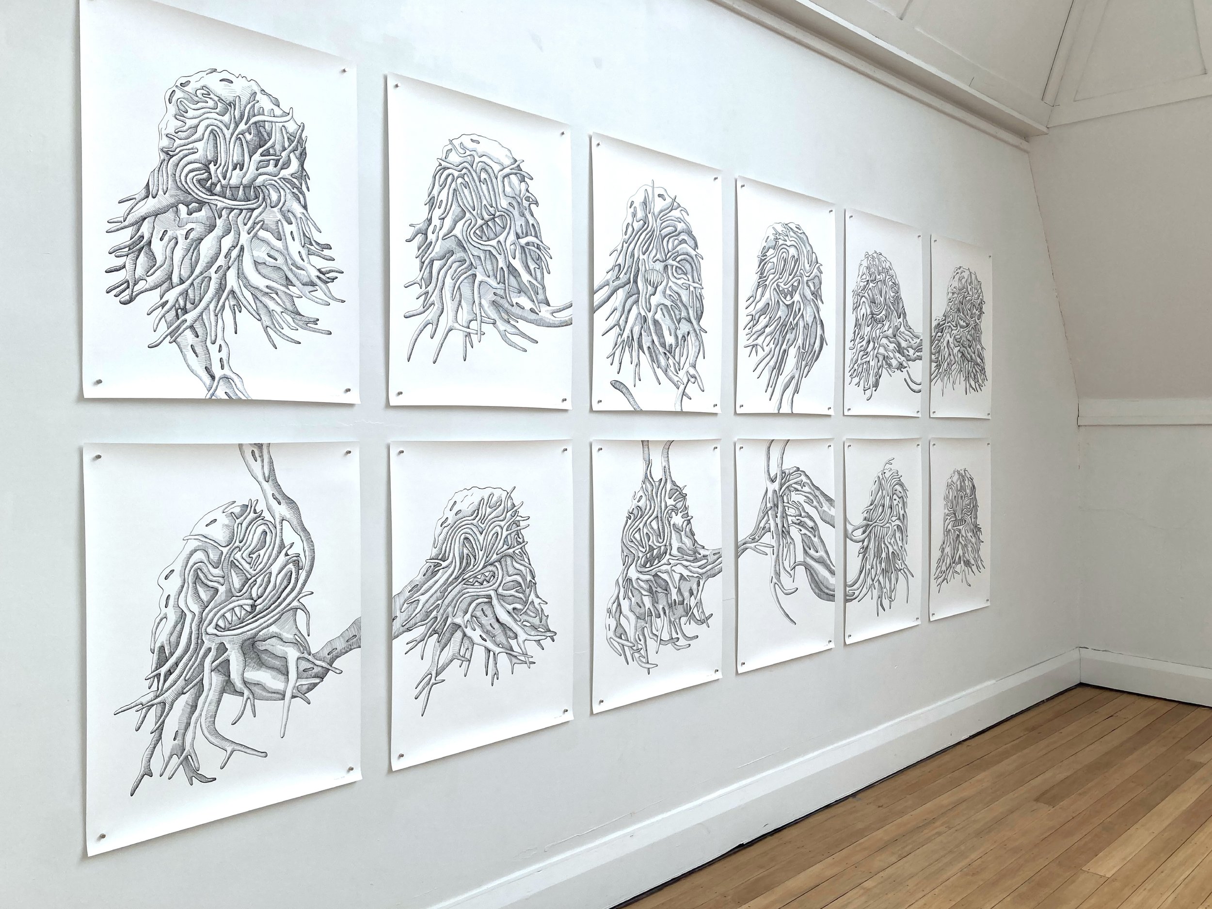 spiculated portraits, series of 12 drawings, ink on Fabriano paper, 1680 x 4000mm, 2024, installation view