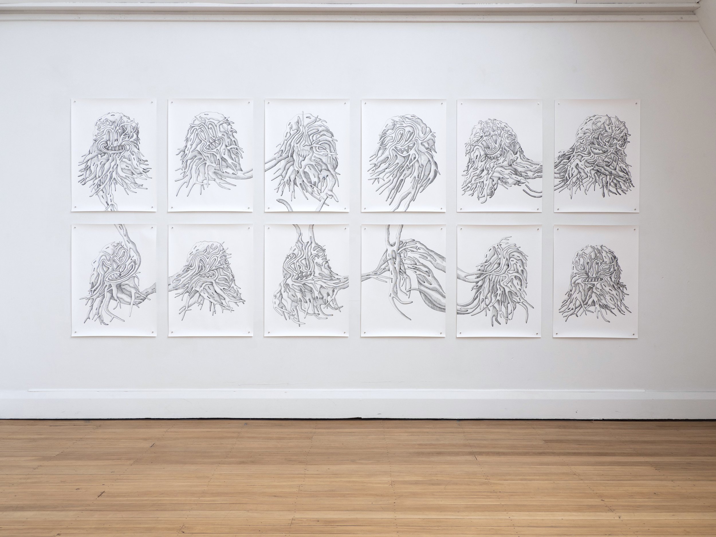 spiculated portraits, series of 12 drawings, ink on Fabriano paper, 1680 x 4000mm, 2024, installation view