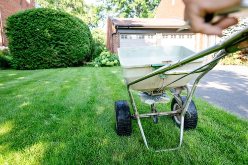 Capital Services photo 3