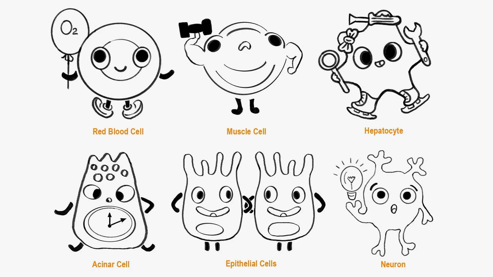 2026-05-Peng-Portfolio-STEMCELL-Cell-Fate-Character-Pins-Web-Image12-1920x1080.jpg