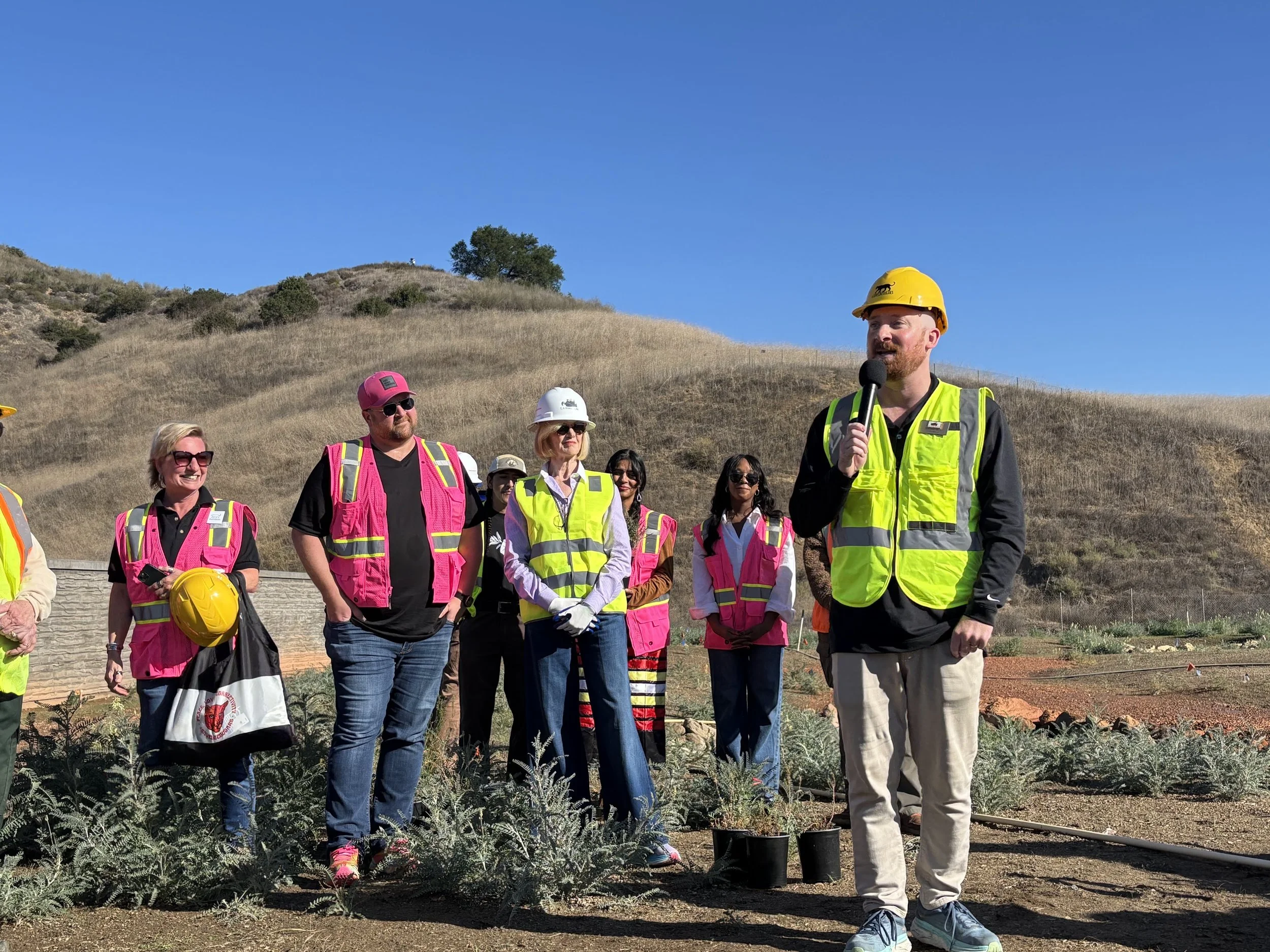 Native planting for the wildlife corridor