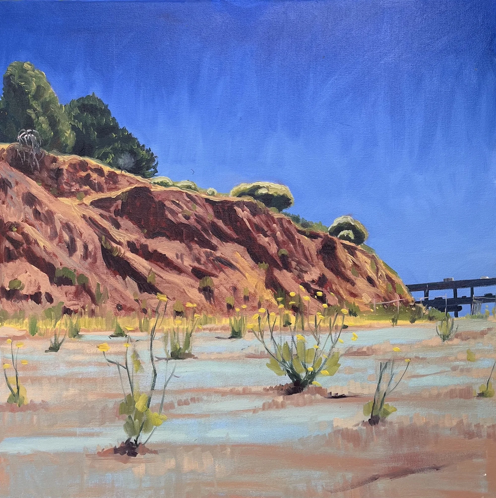 Painting of Cape Castro in Richmond