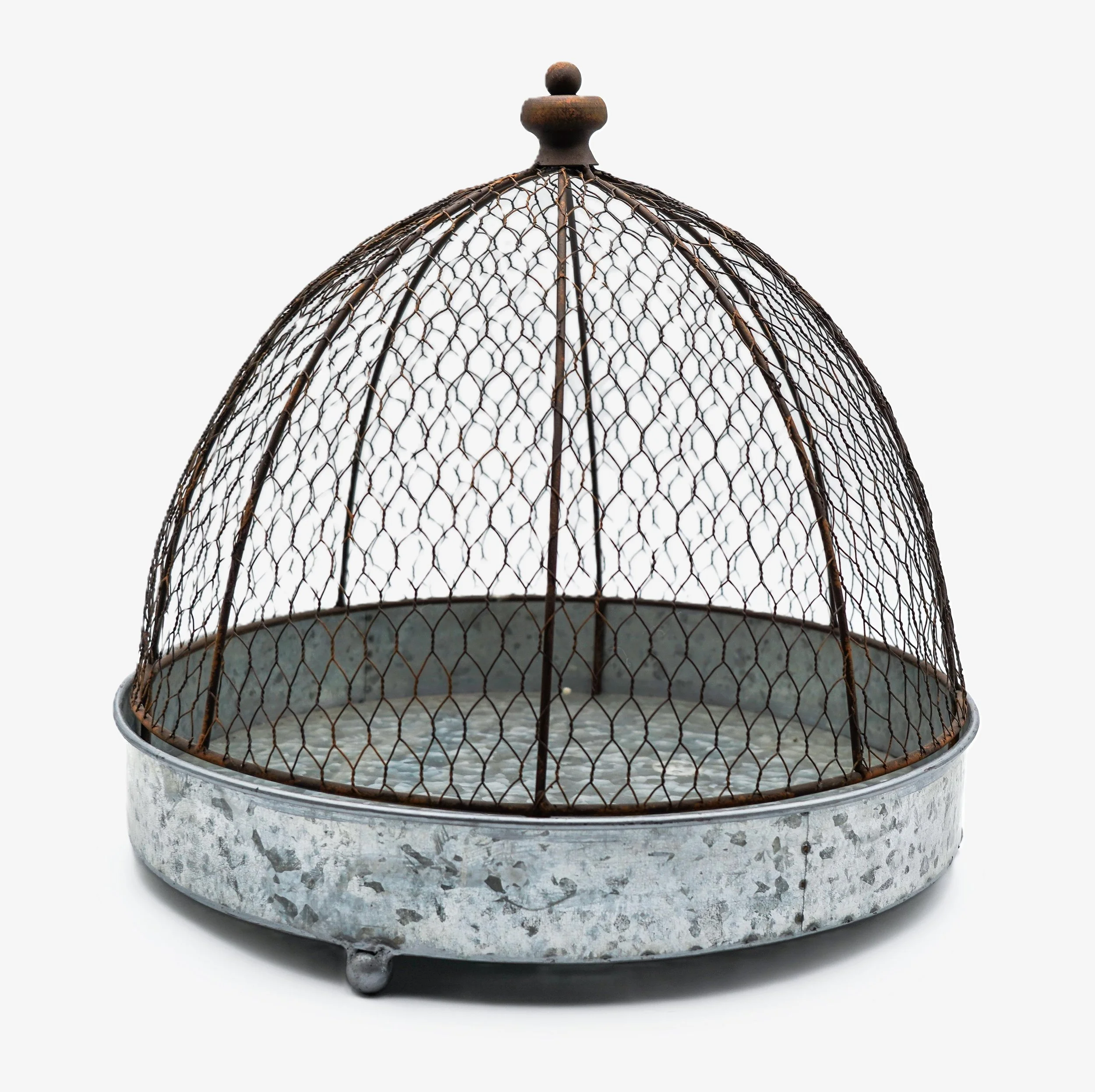 Distressed Chicken Wire Cloche & Metal Footed Tray