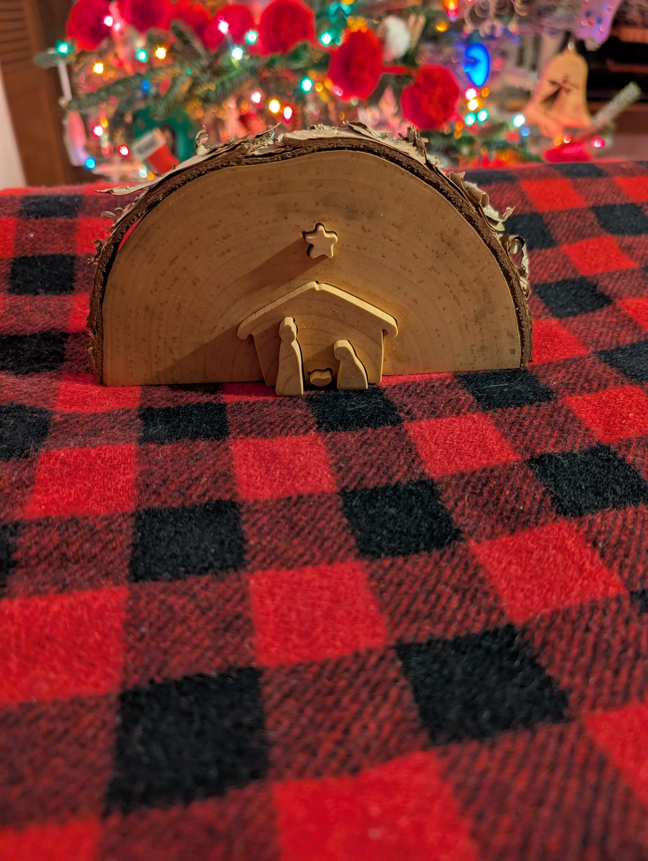 Birch Half Round Live Edge - Small