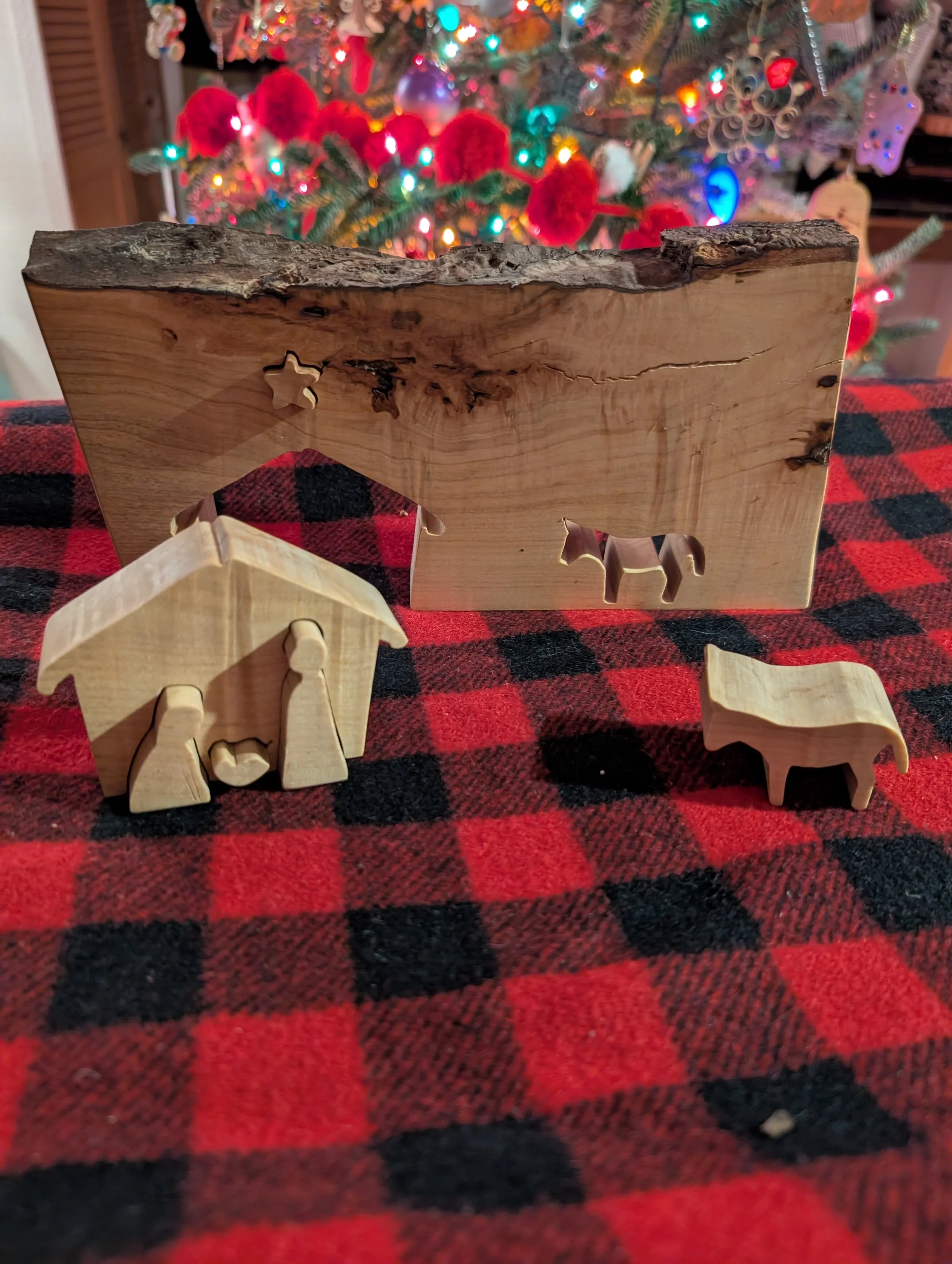 Various Species Rectangular Live Edge - Large