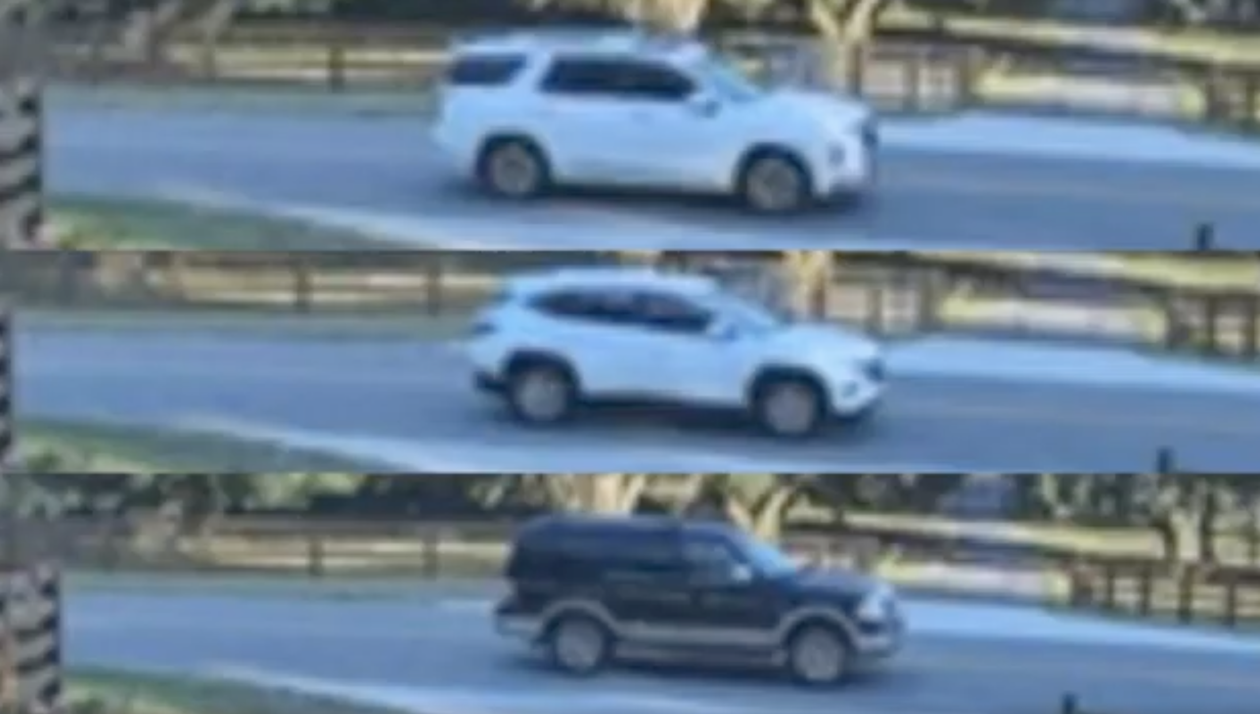 Gabby Suver Hit &amp; Run Case: $5000 Reward Offered