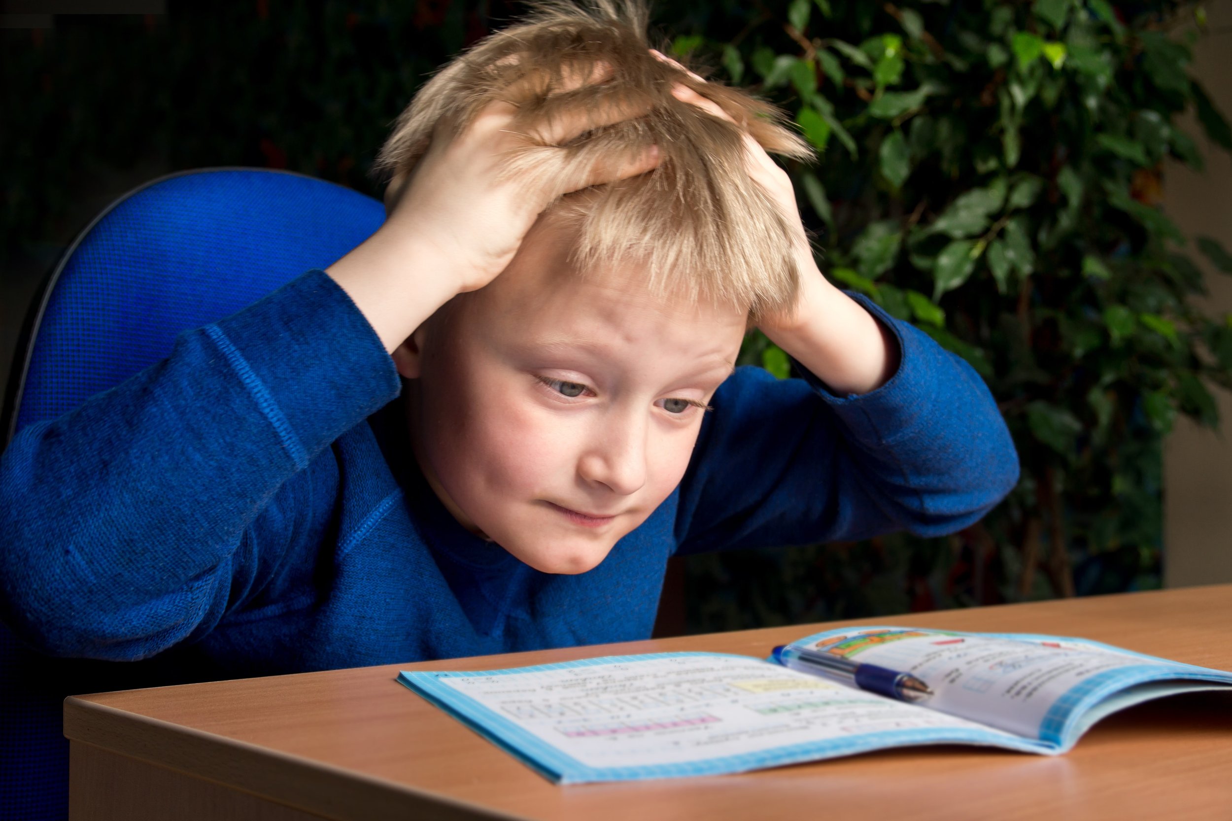 Children with an anxiety disorder do poorly academically due to language and memory deficits