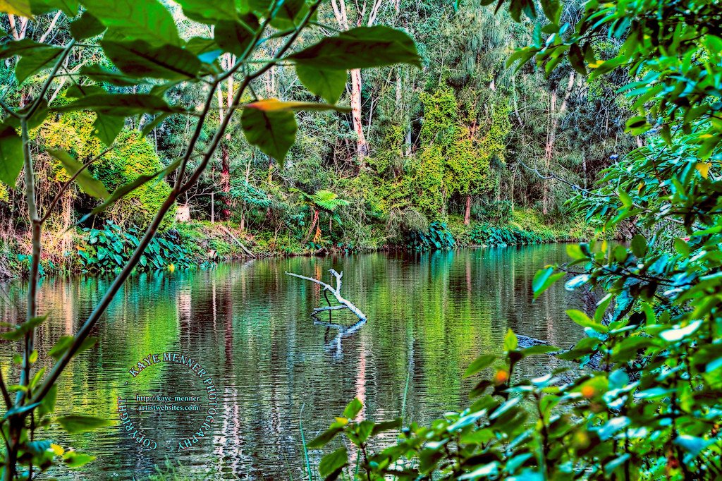 The Beautiful Greens of Nature 2 by Kaye Menner.jpg