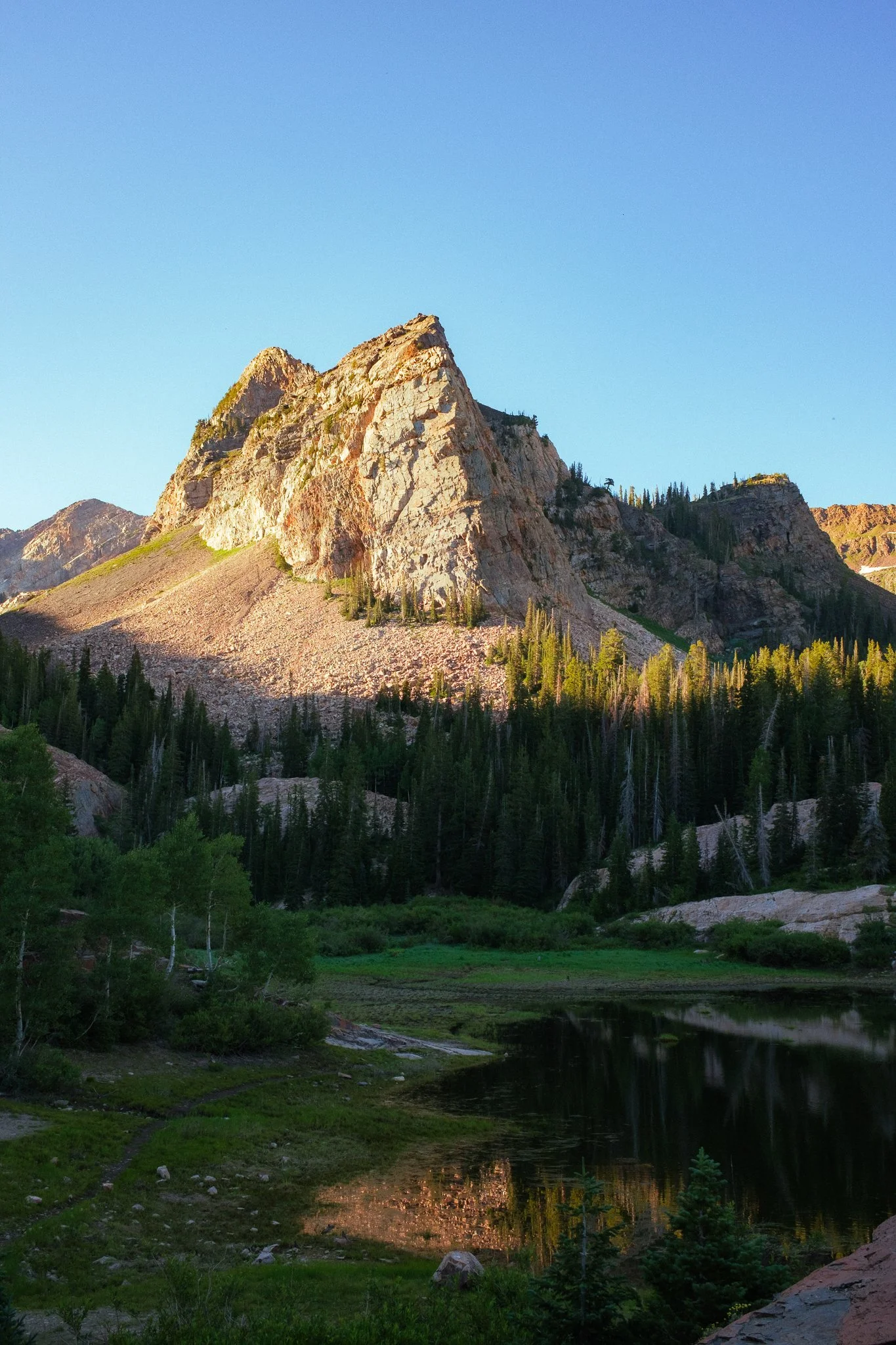DSCF8141.jpg