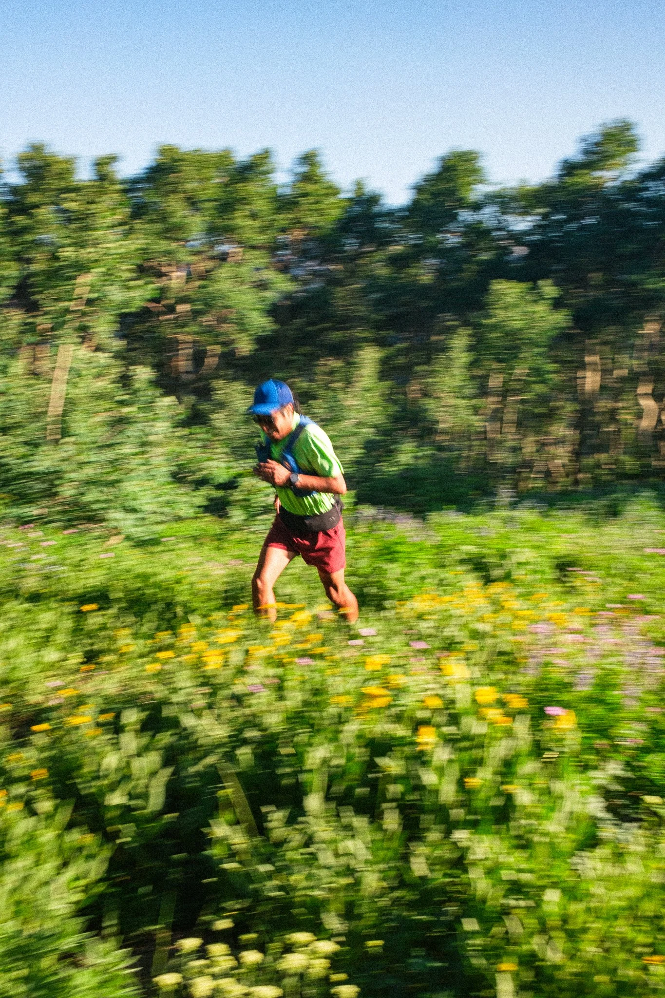 DSCF7855.jpg