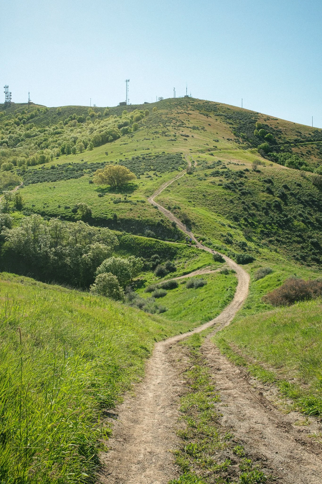 DSCF0892.jpg