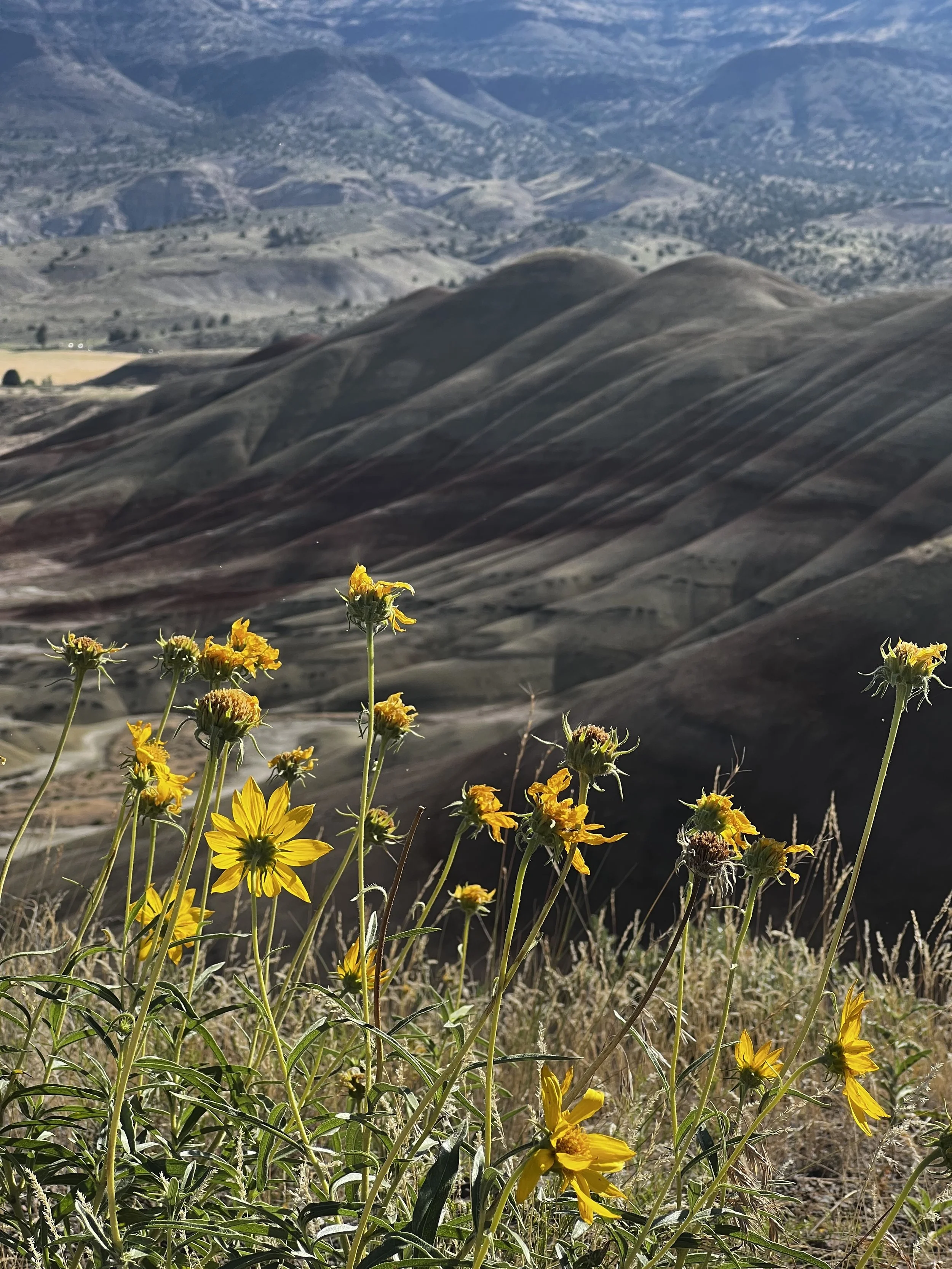 Living In A Van Breakdowns and Lessons Joule Adventures Joule