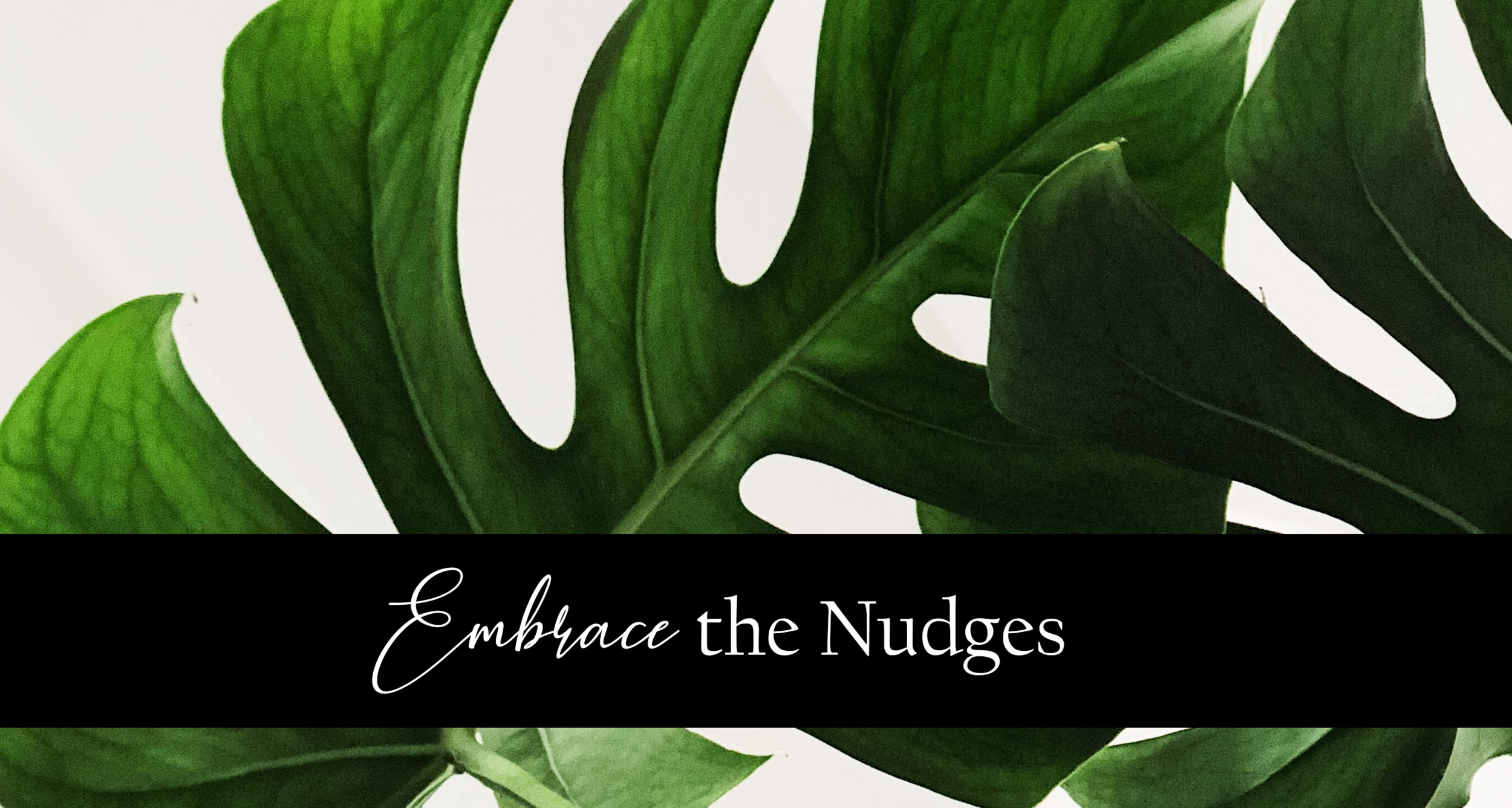 Embrace the Nudges