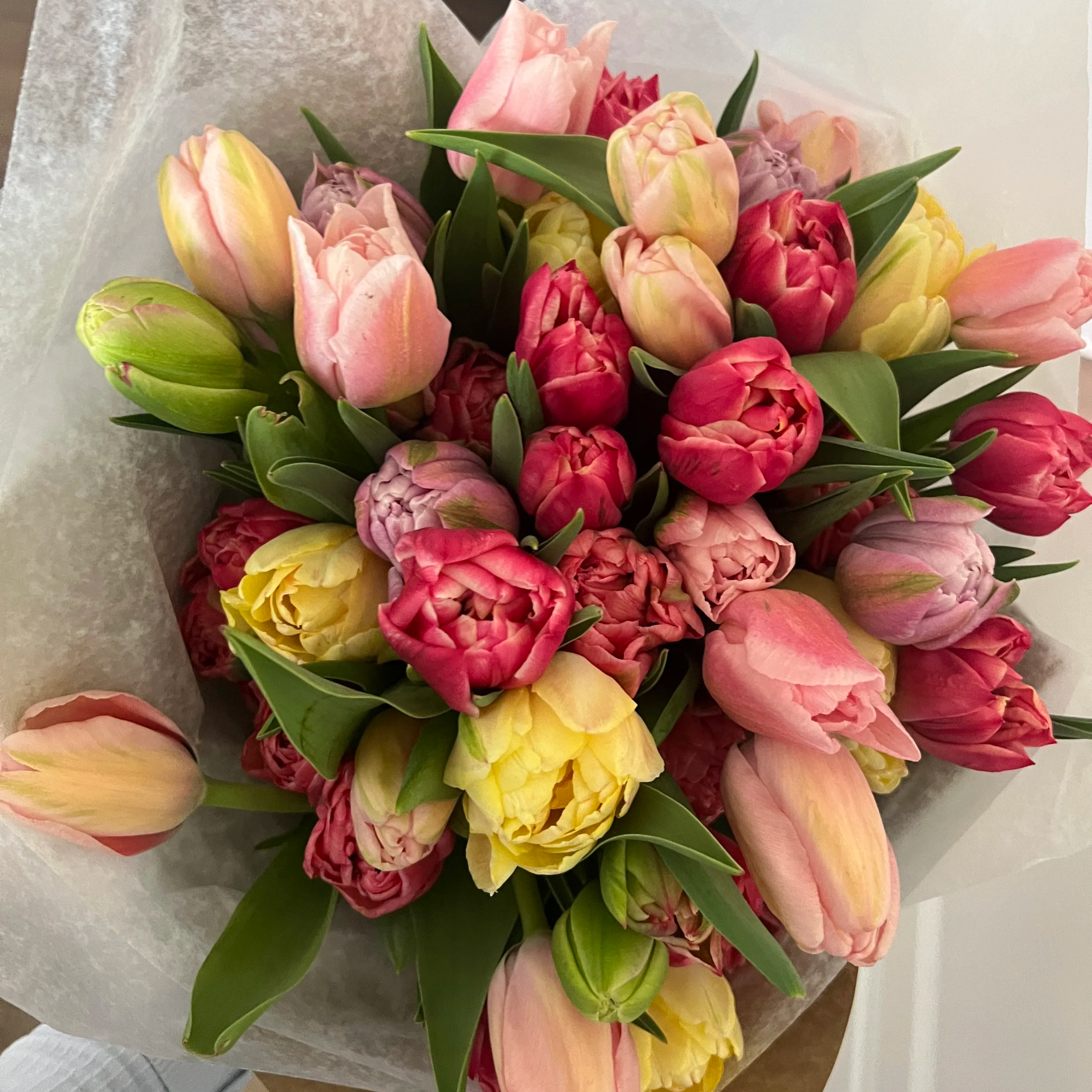 *PRE-ORDER* Mother's Day Tulips 2026