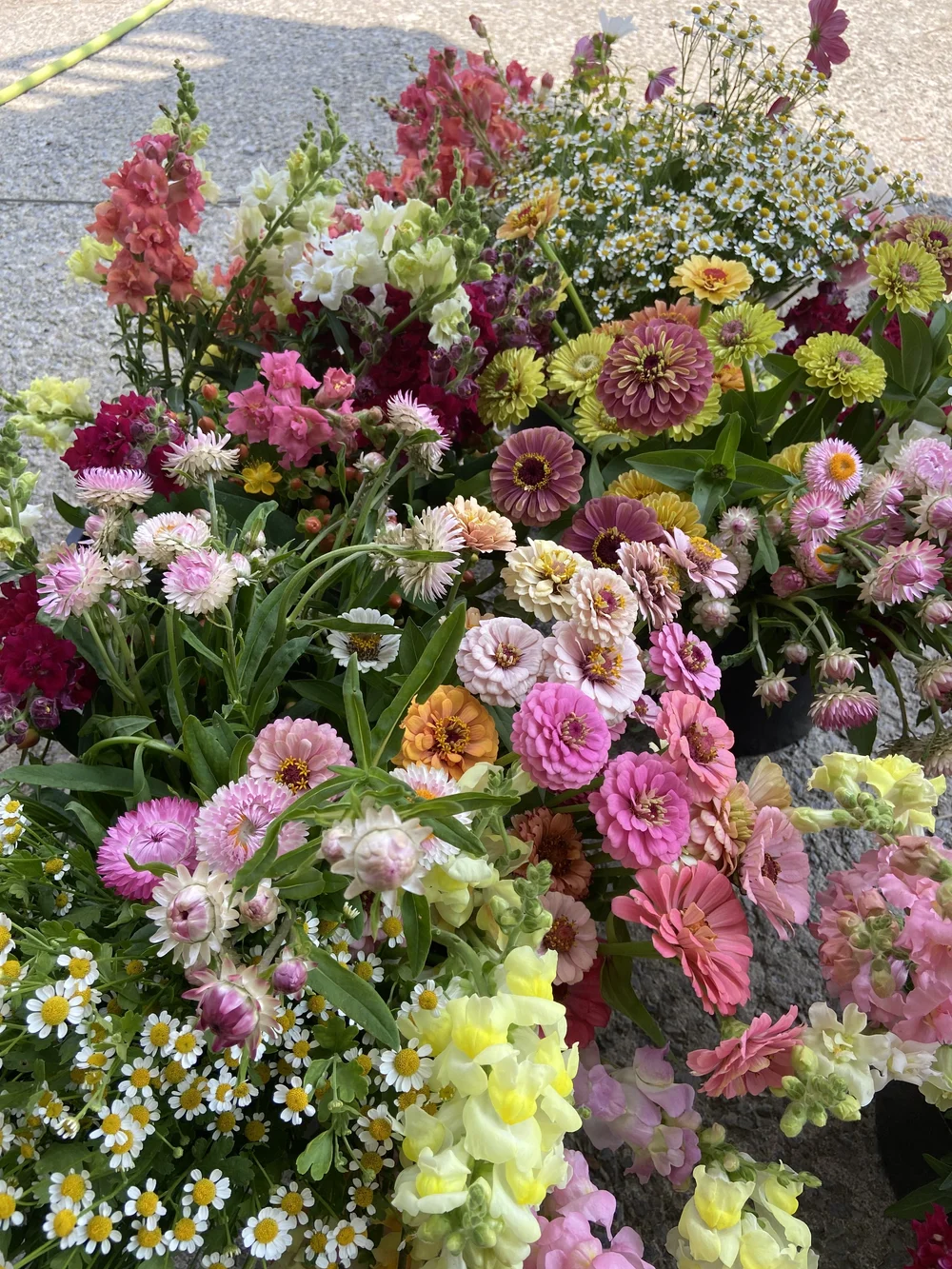 Shop — Fuller Flower & Co.
