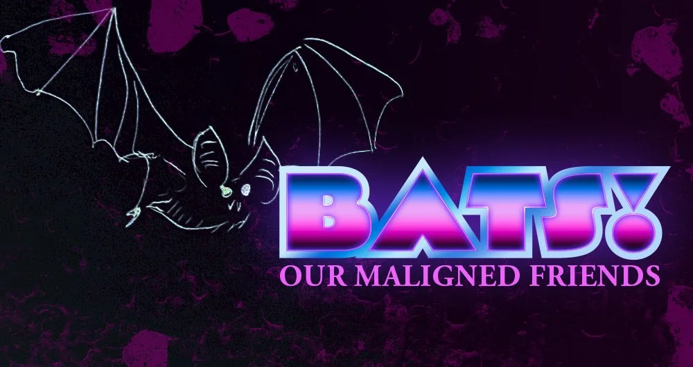 Bat drawing over blue and pink text that reads BATS! Our Maligned Friends