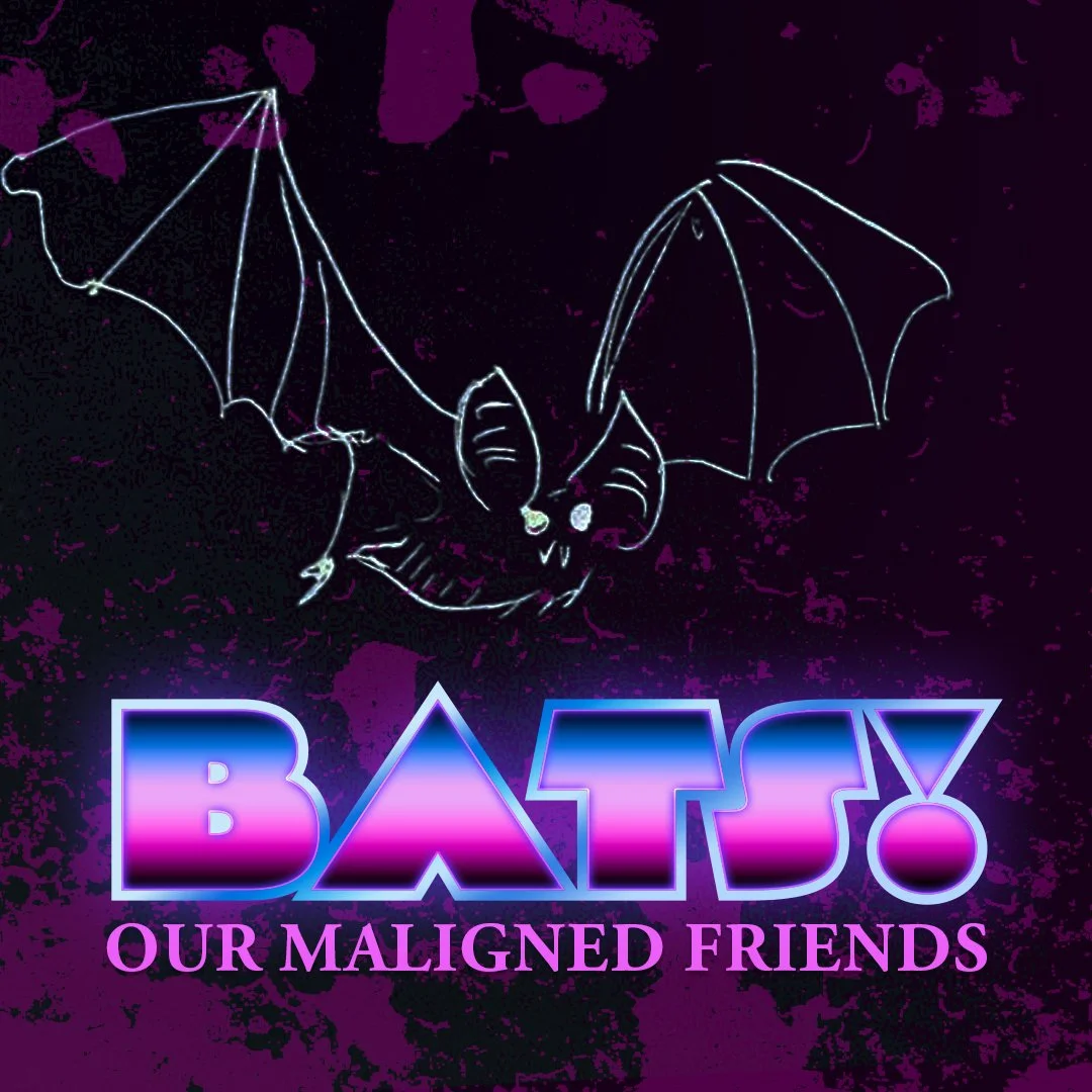 Bats! Our Maligned Friends