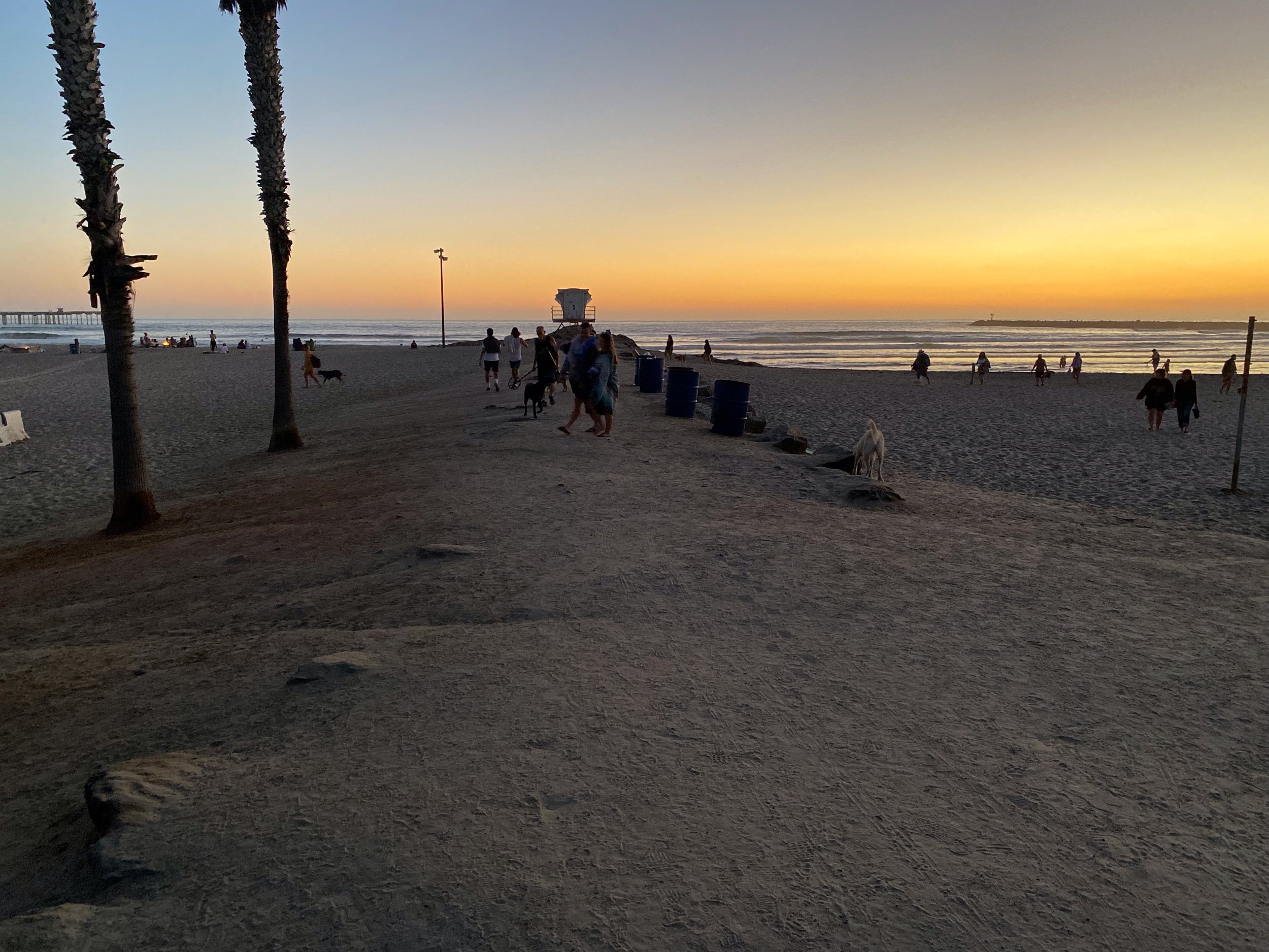 IMG_2303.jpeg