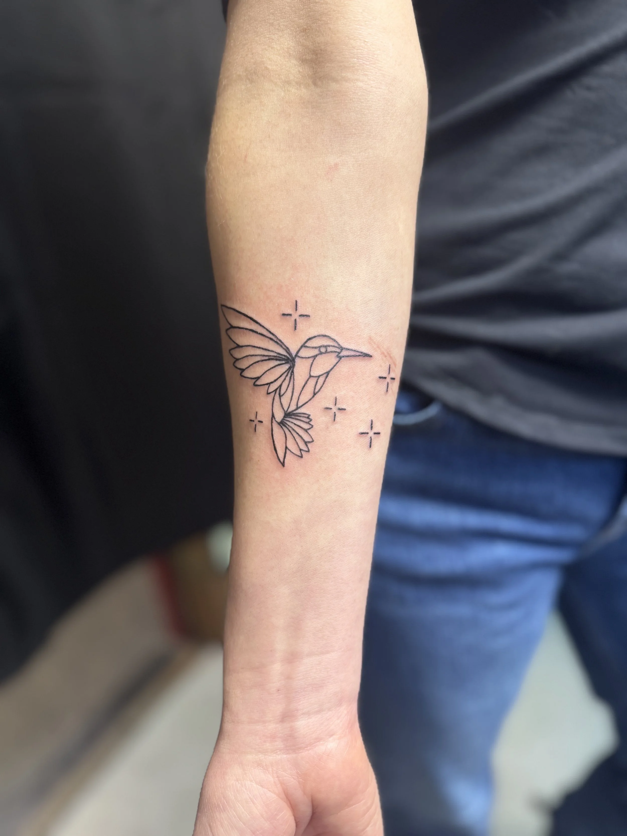 Hummingbird stars linework2.jpeg