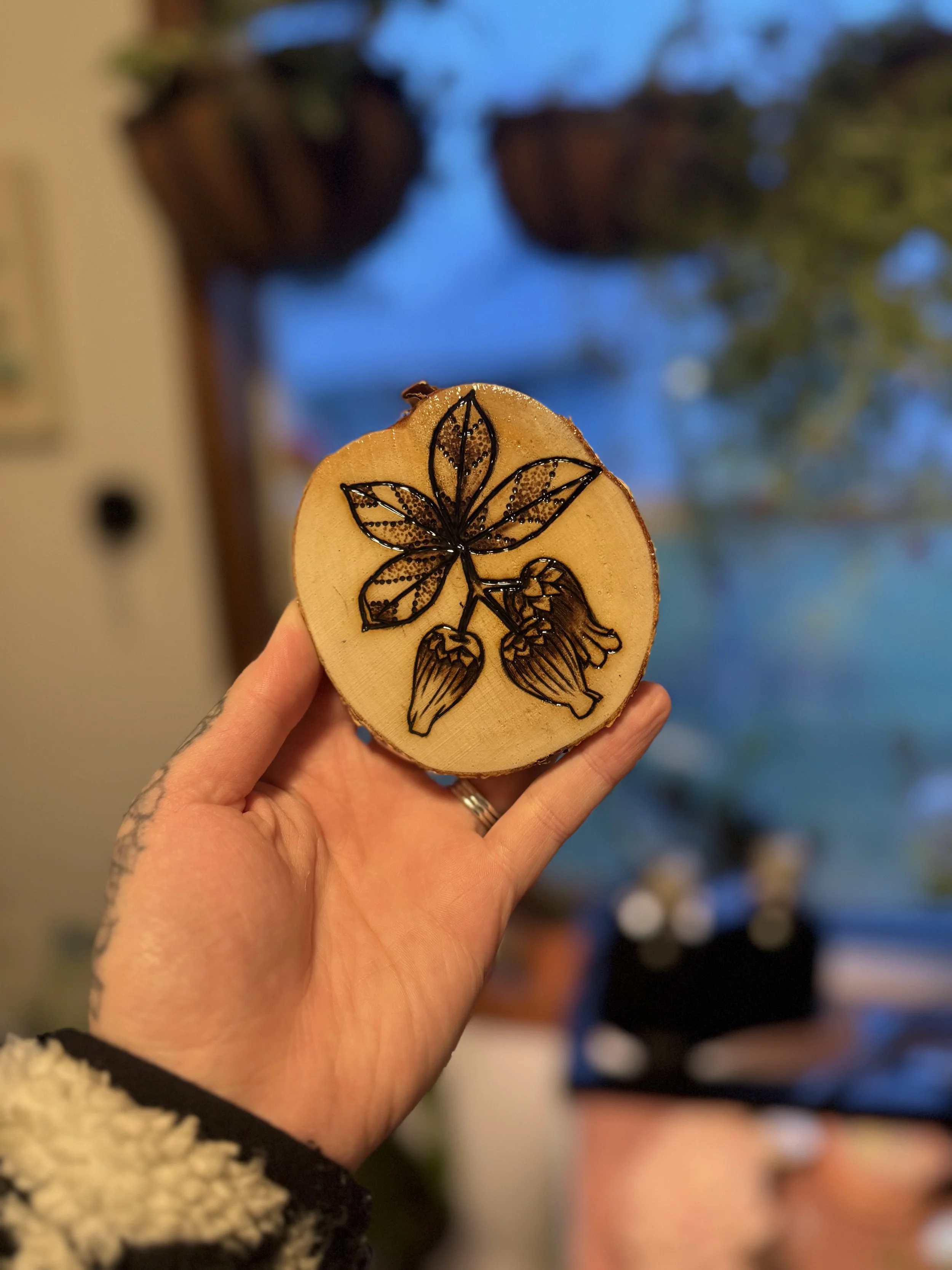 Bear berries woodburn art.jpg