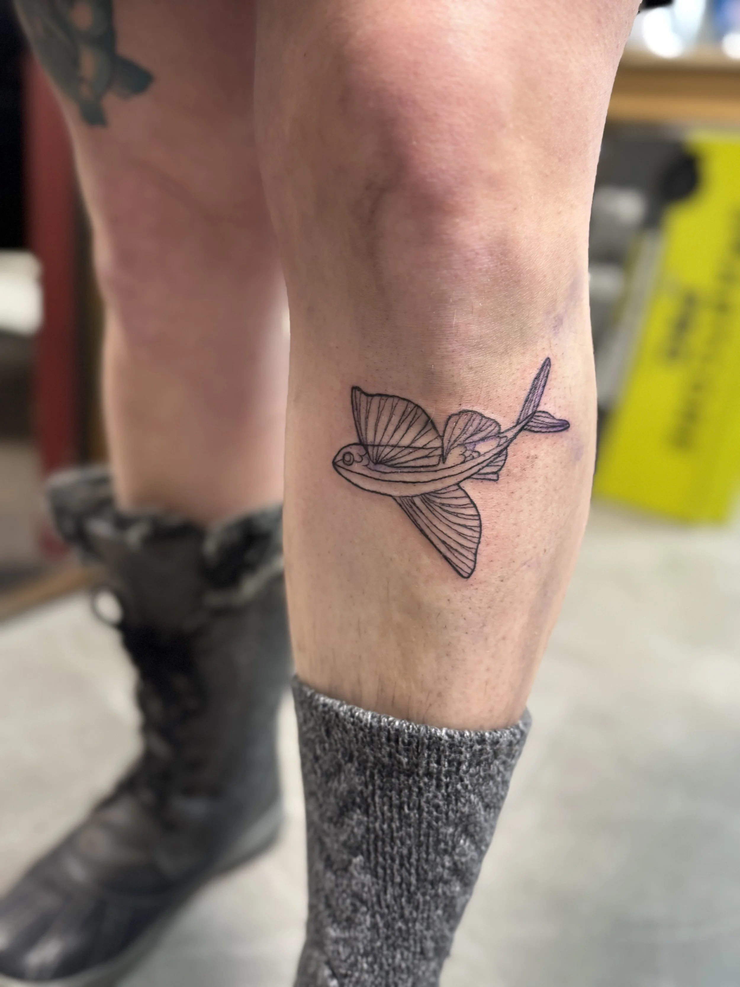 Flying fish linework.jpeg