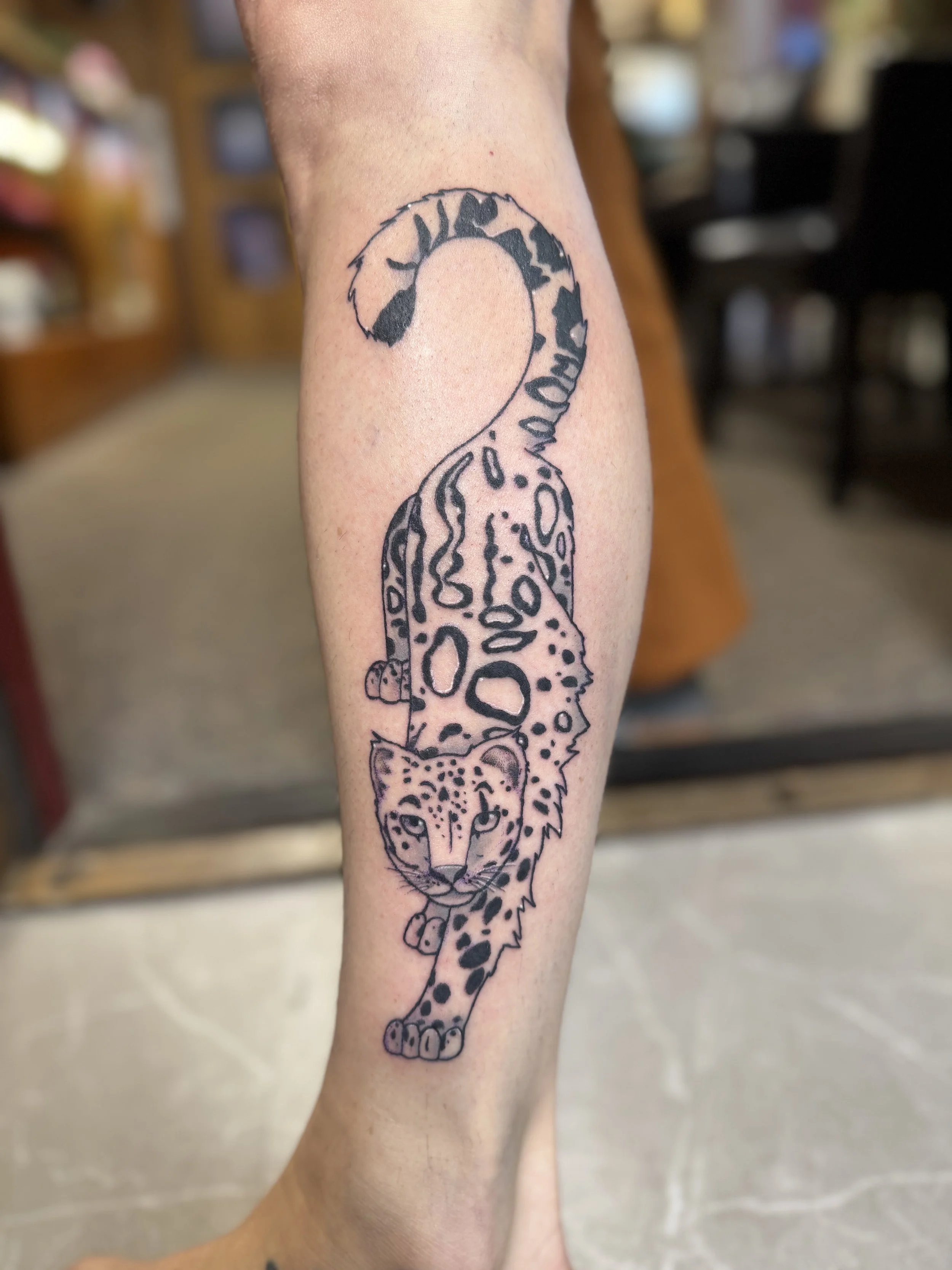 BG snow leopard 1.jpg