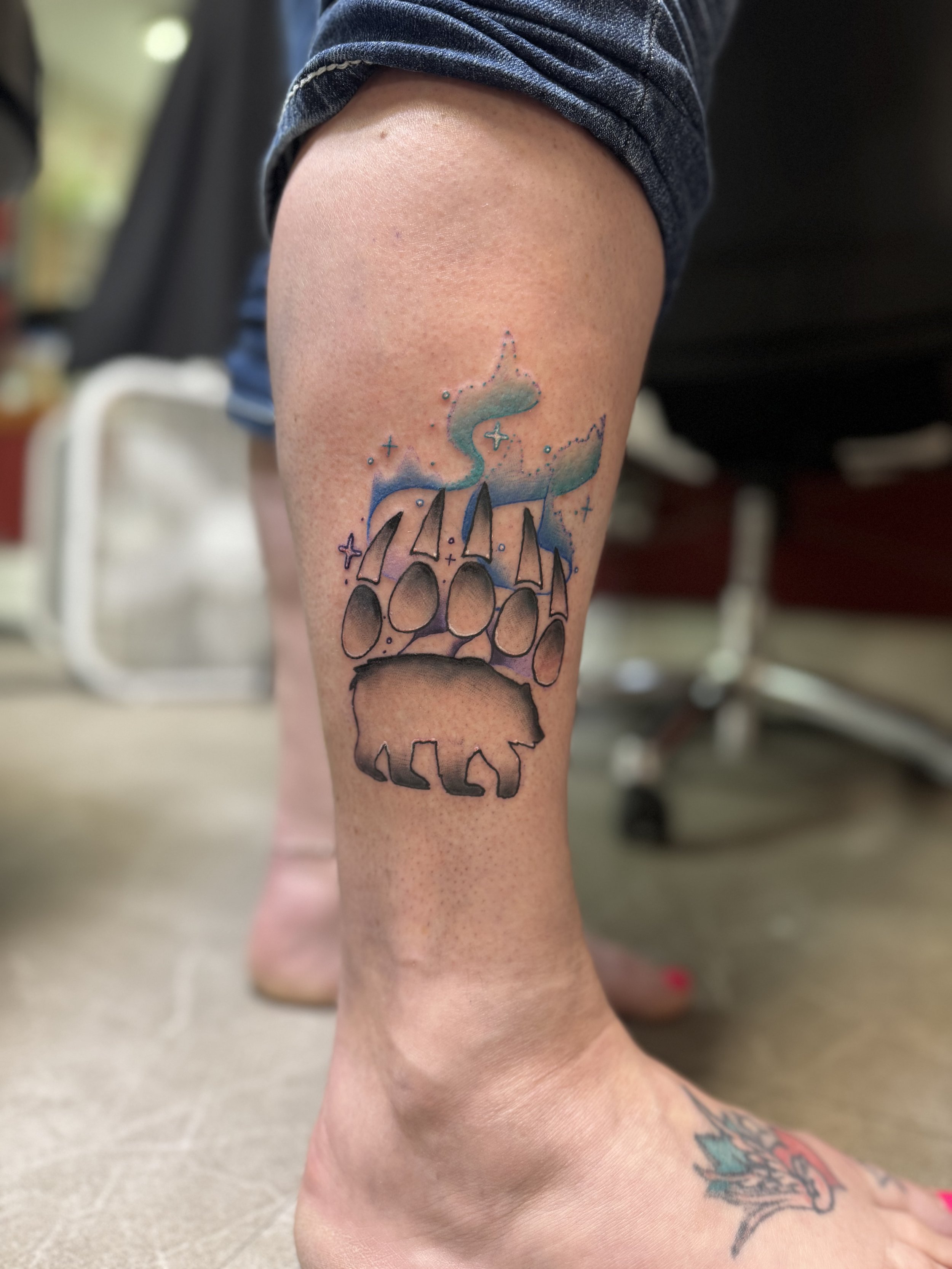 Bear, bear paw, Northern Lights.jpeg