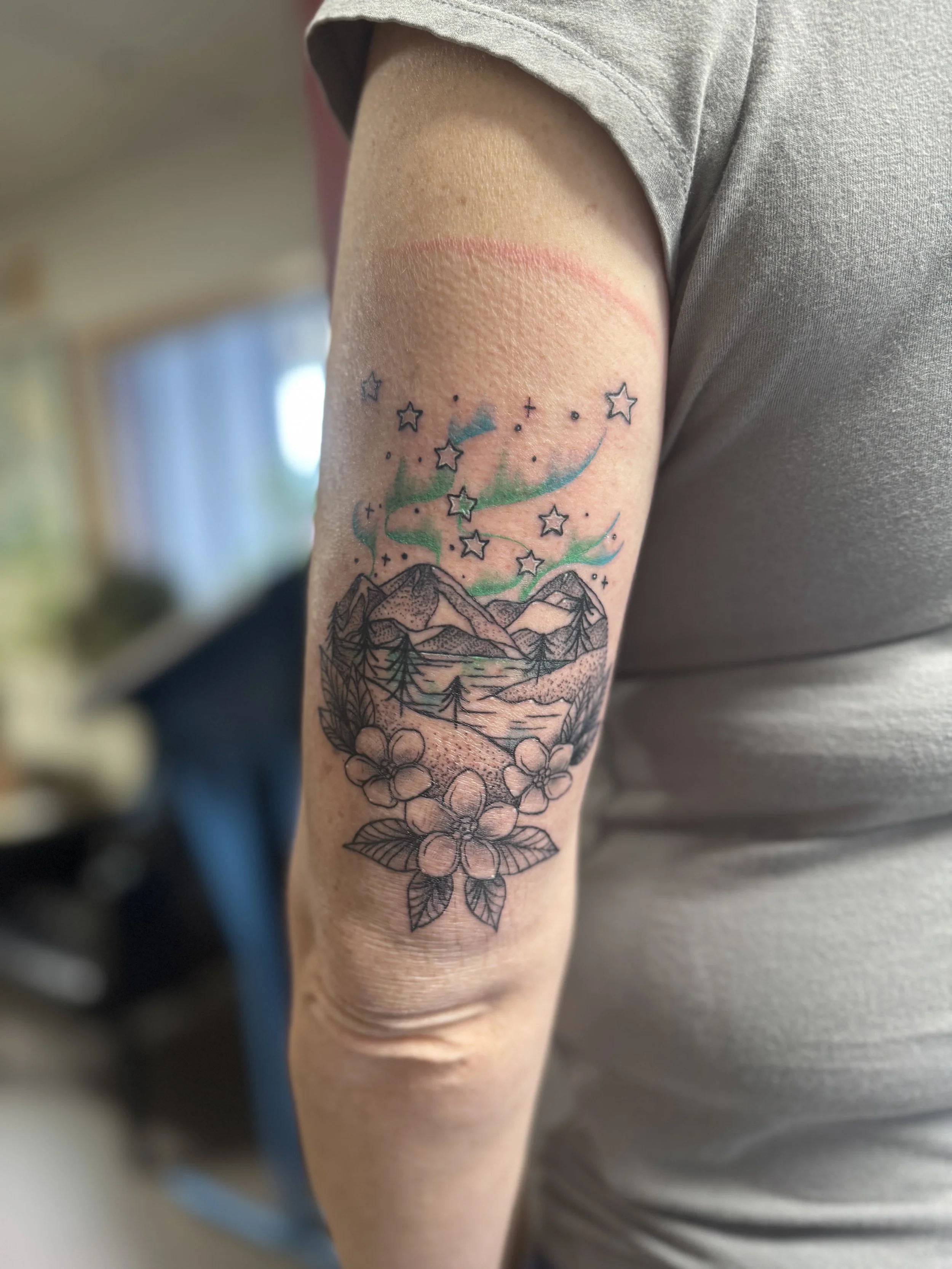 AK mountains, northern lights, forget me nots.jpg