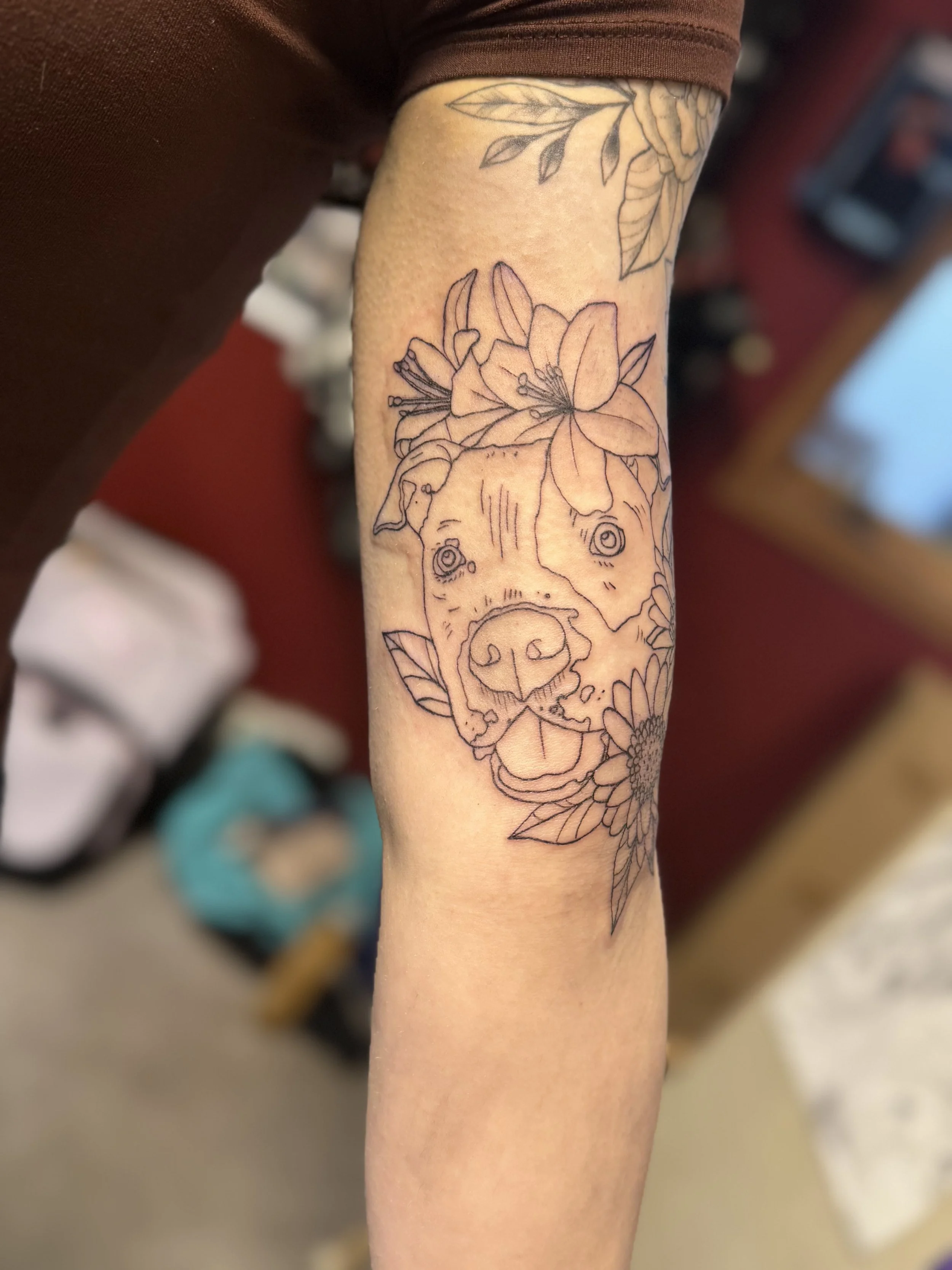 BG dog, flowers, fine lines 2.jpeg