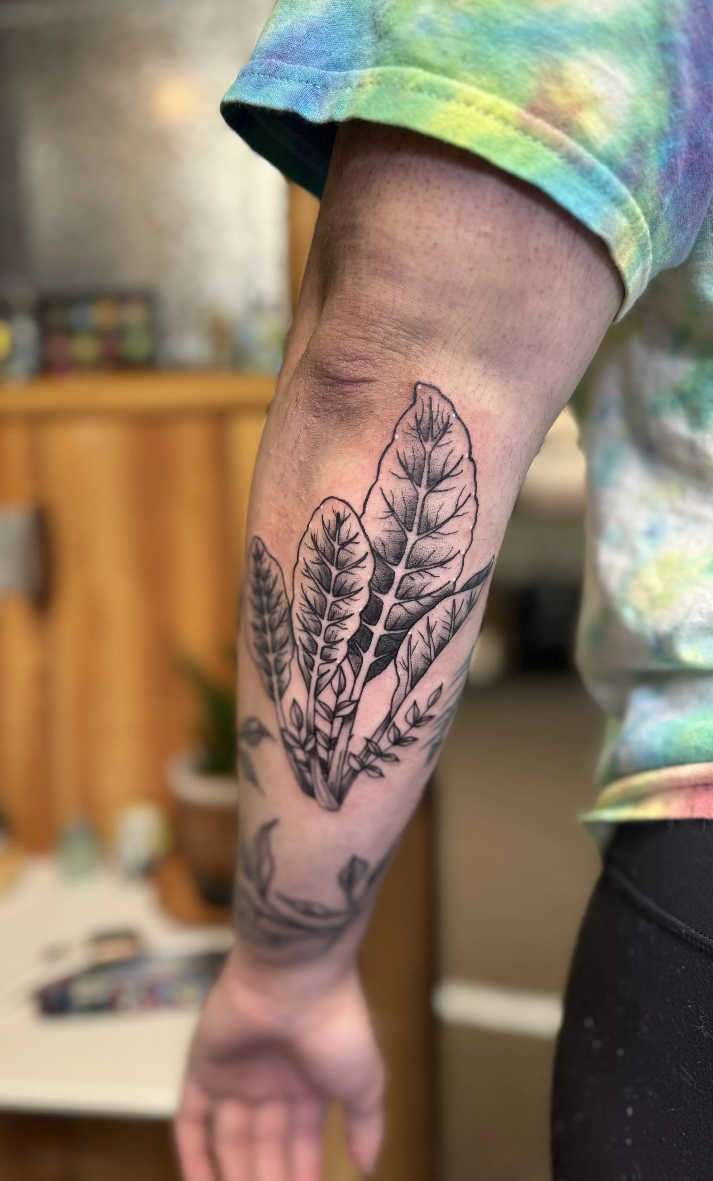 Rhubarb black and grey.jpg