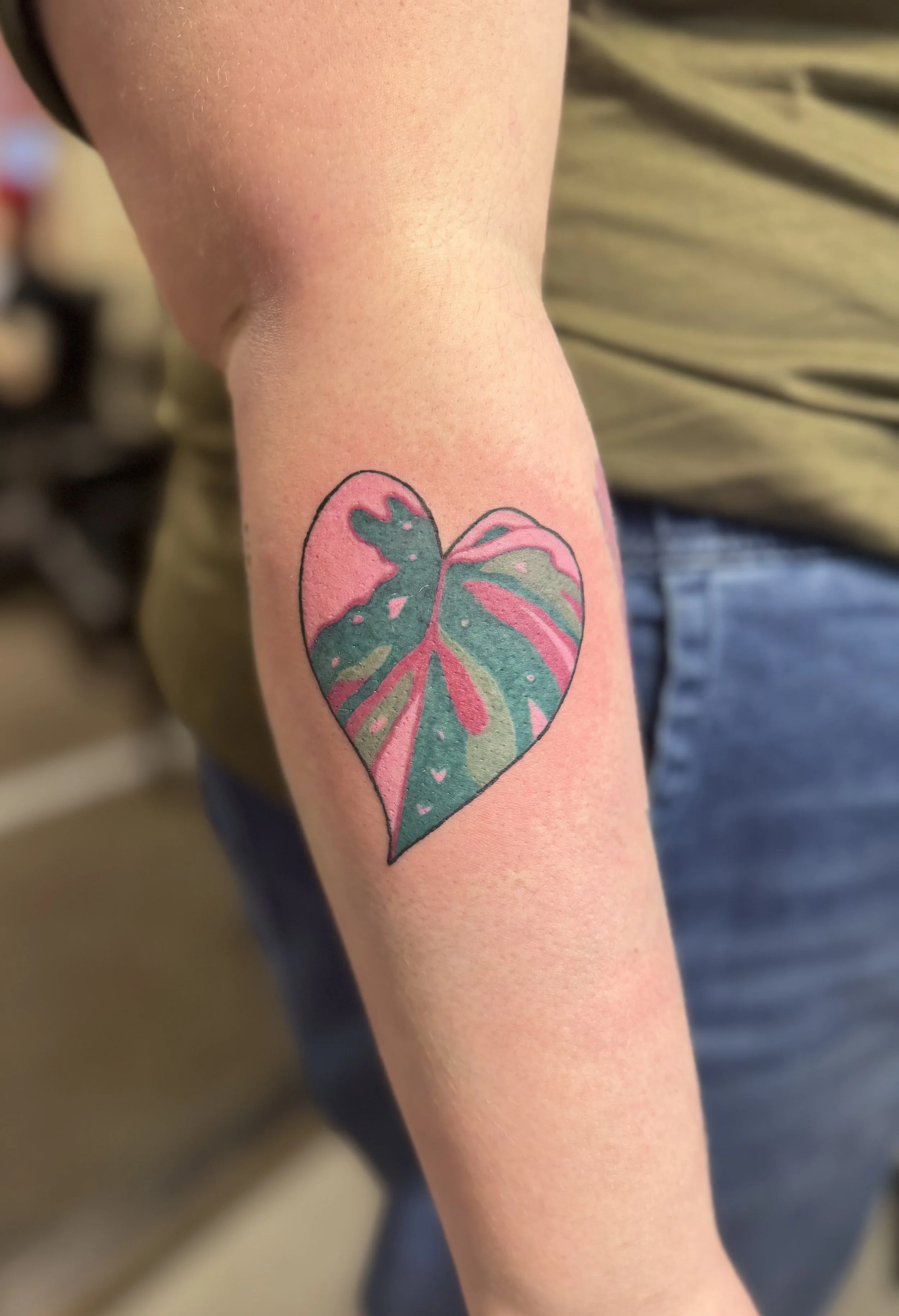 Pink Princess philodendron leaf.jpeg