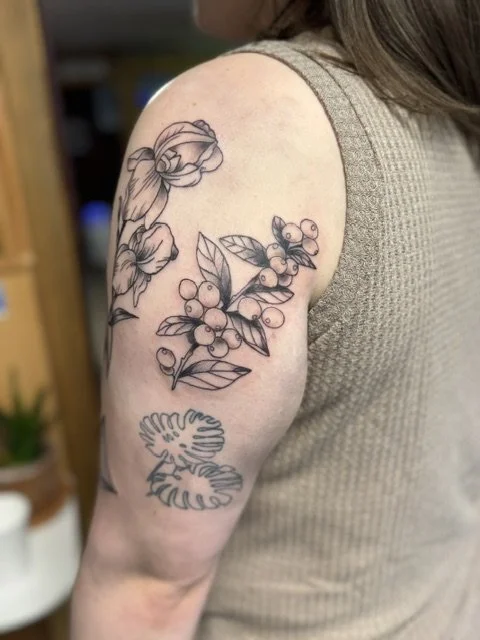 Snow berries BG.jpeg