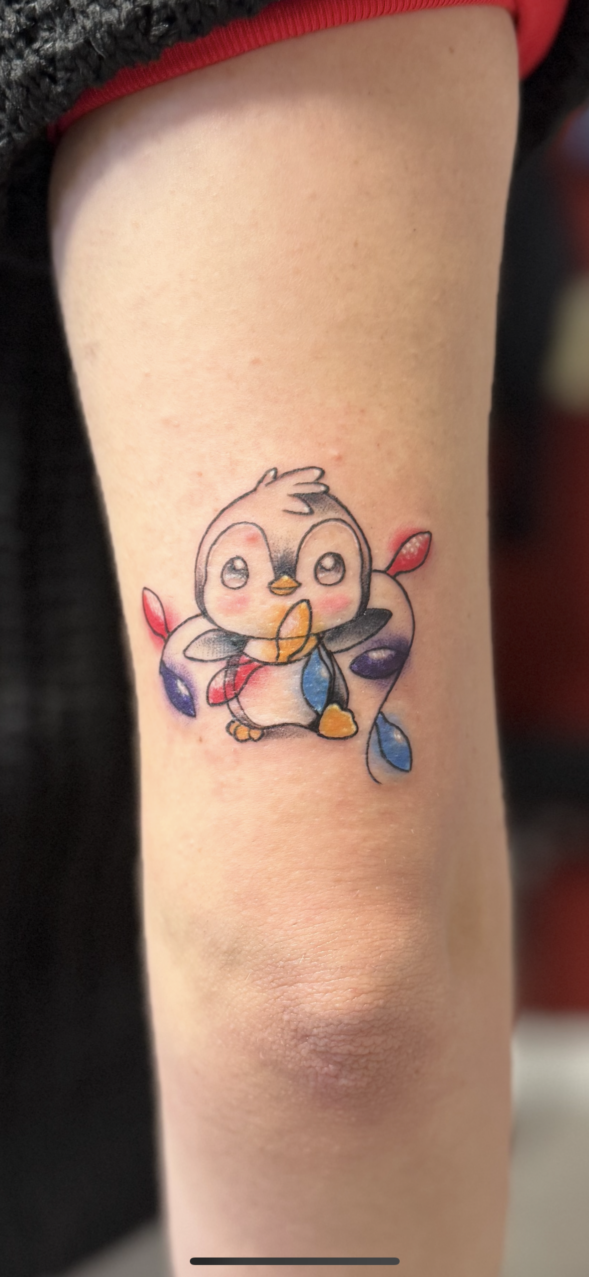 Cute penguin with fairy lights.PNG