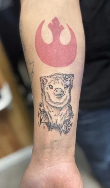 Cute baby pig BG.jpeg