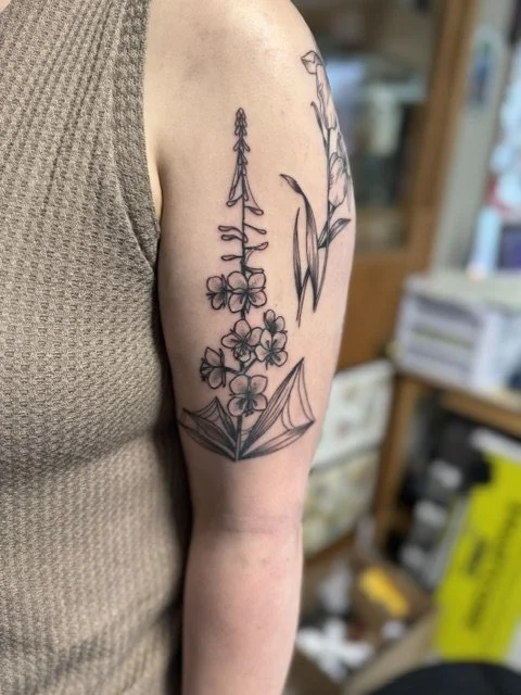 Fireweed BG with spider webs.jpeg