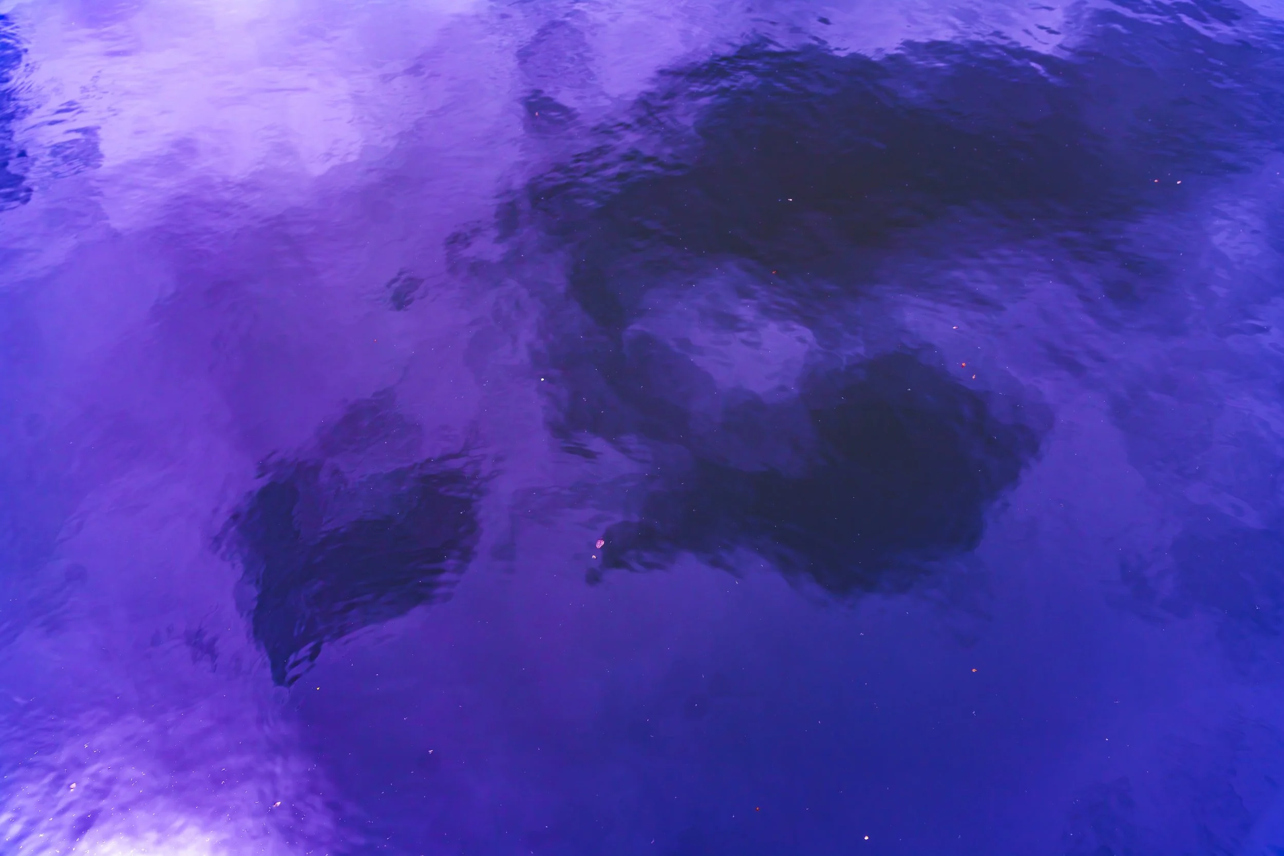 website-6.jpg