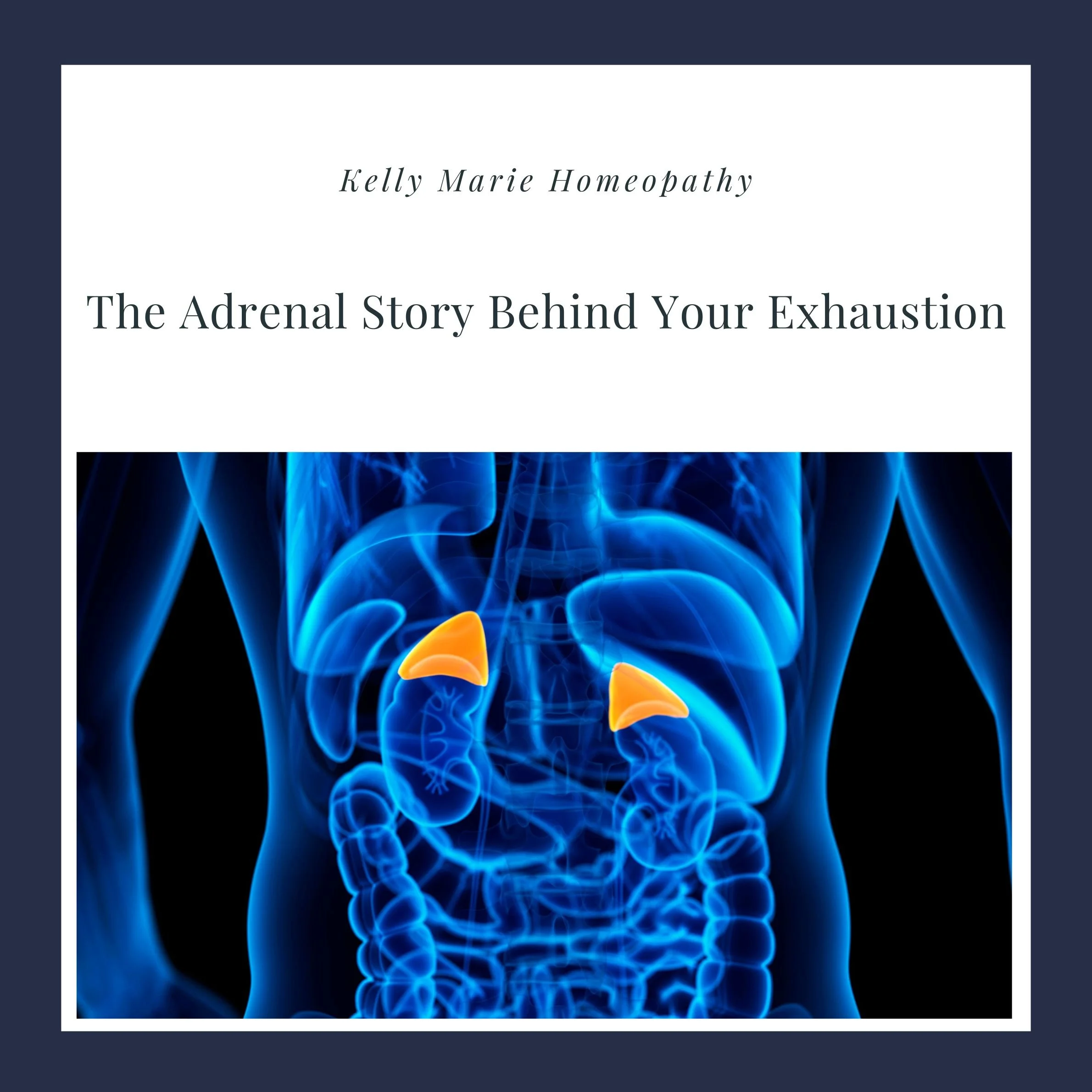 The Adrenal Story Behind Your Exhaustion