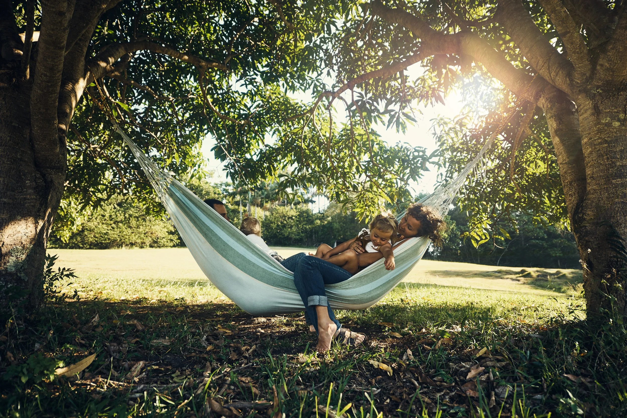 iStock-639455994.jpg