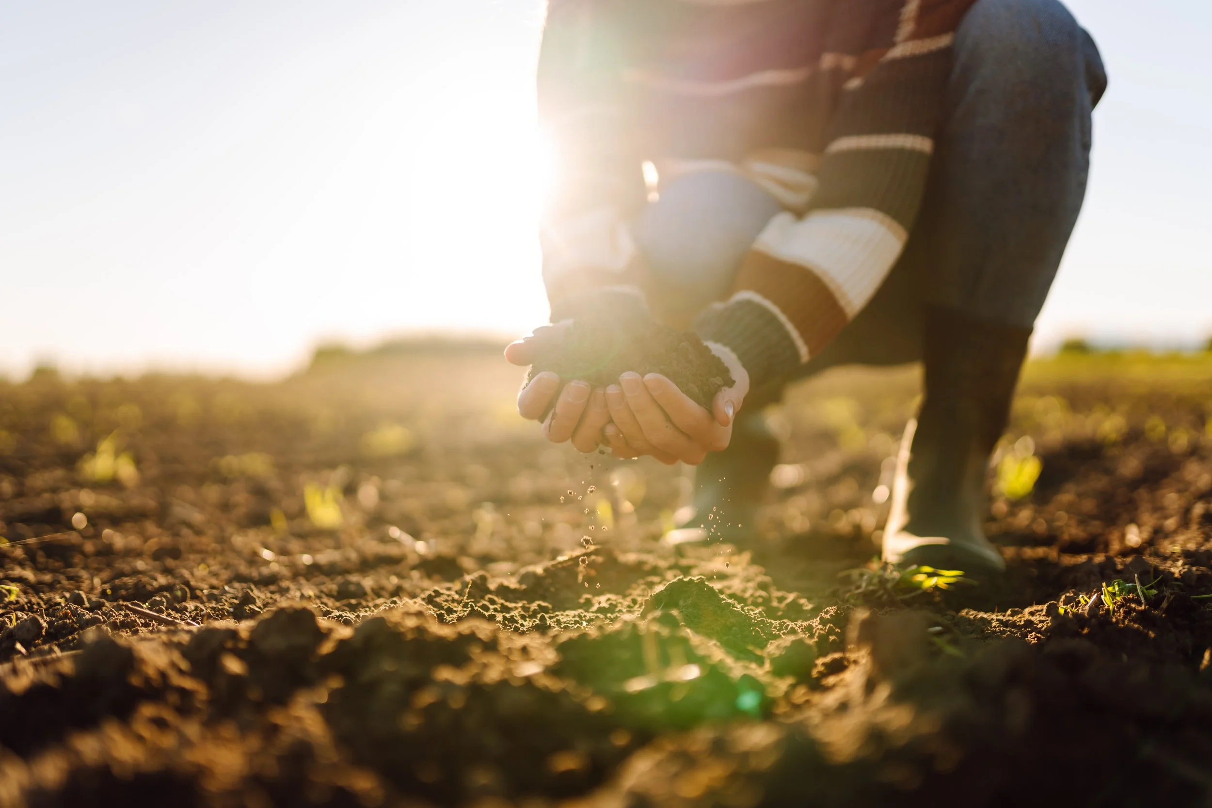iStock-2200137076.jpg
