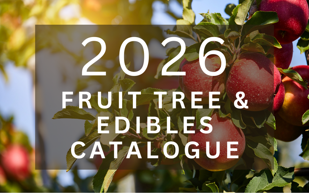 Tree Catalogs Catalogues | Discover Seasonal Plants Today — Woodend Nurseries